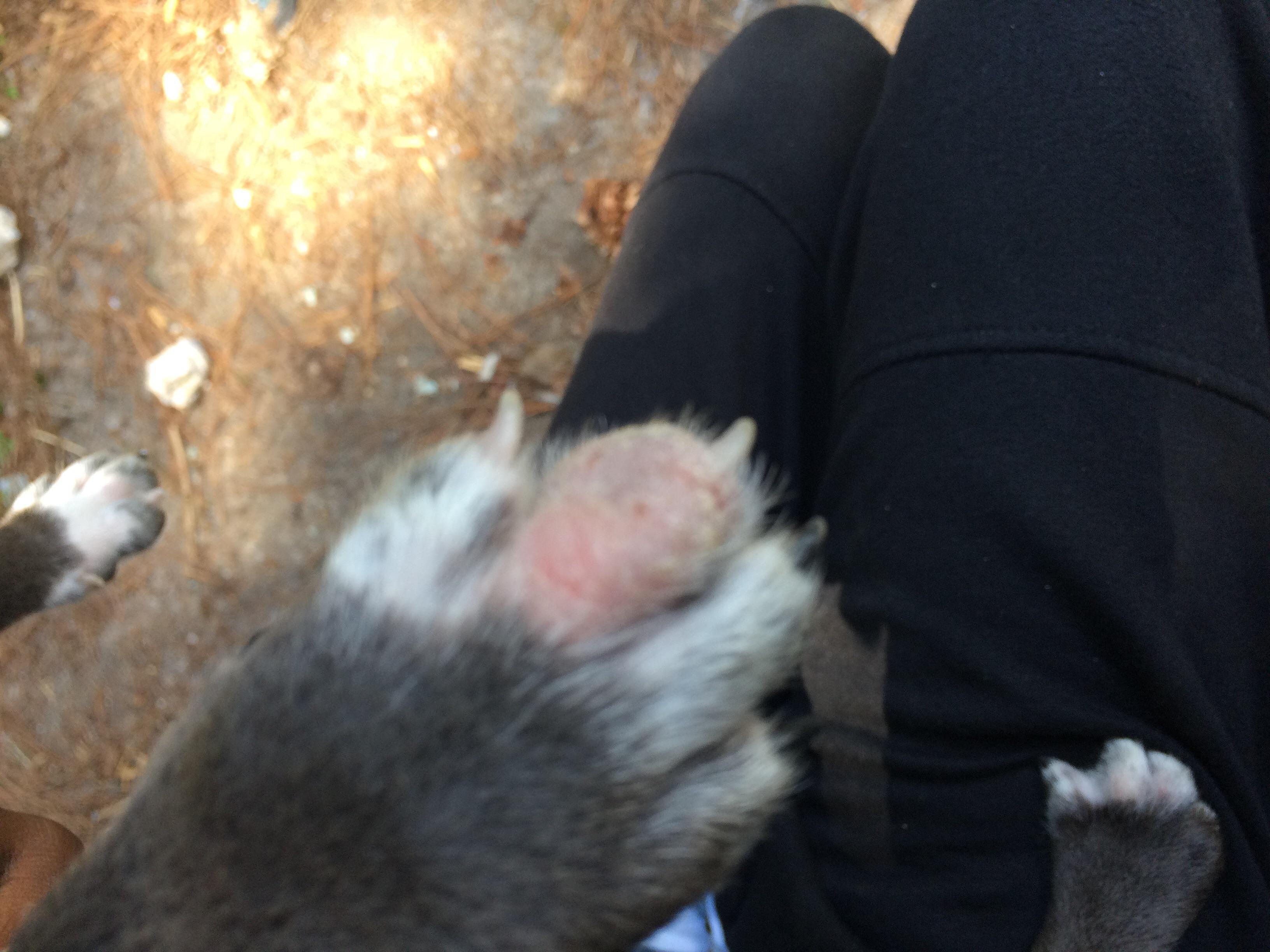 Question details sensitive content