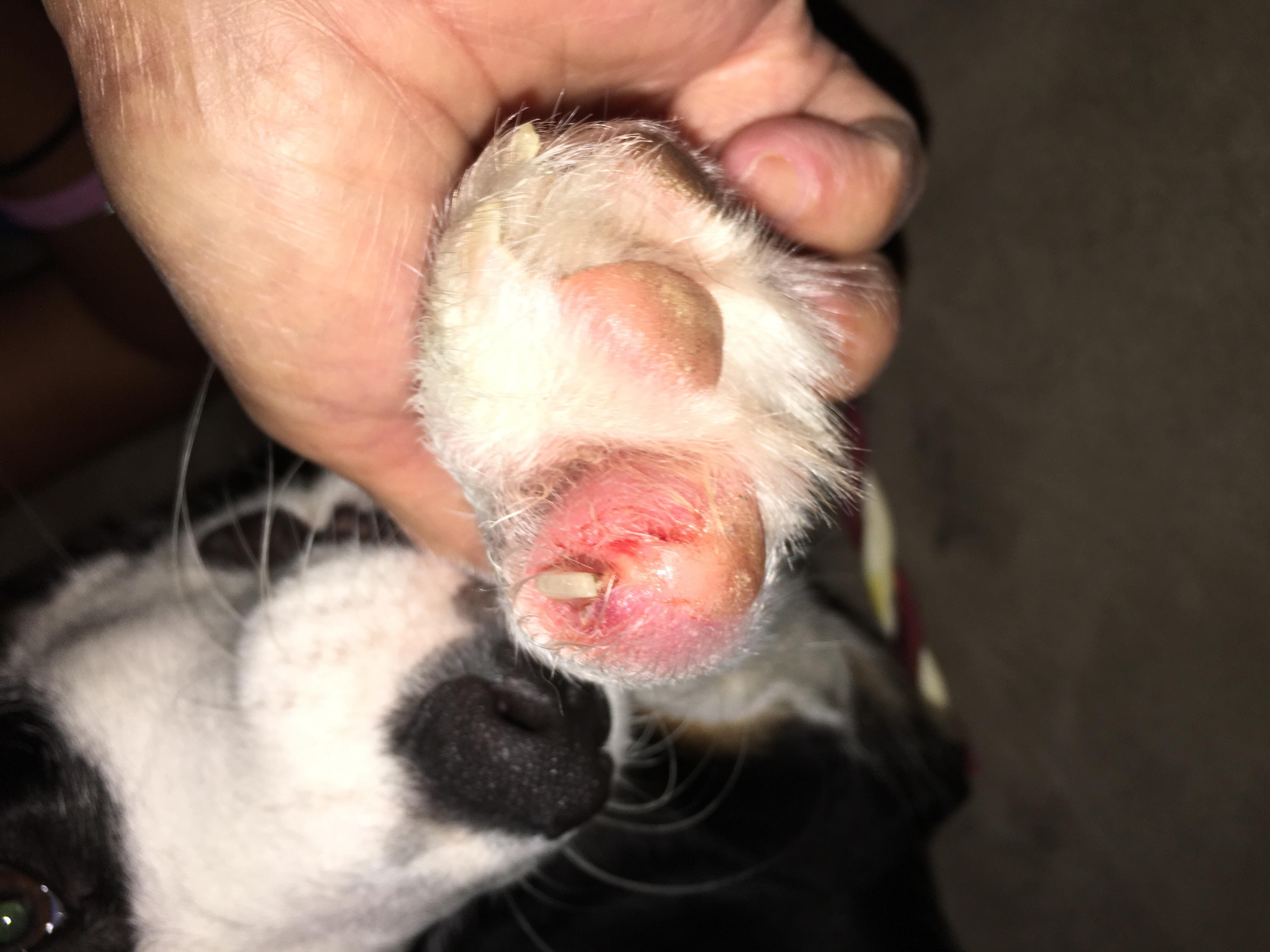 Question details sensitive content