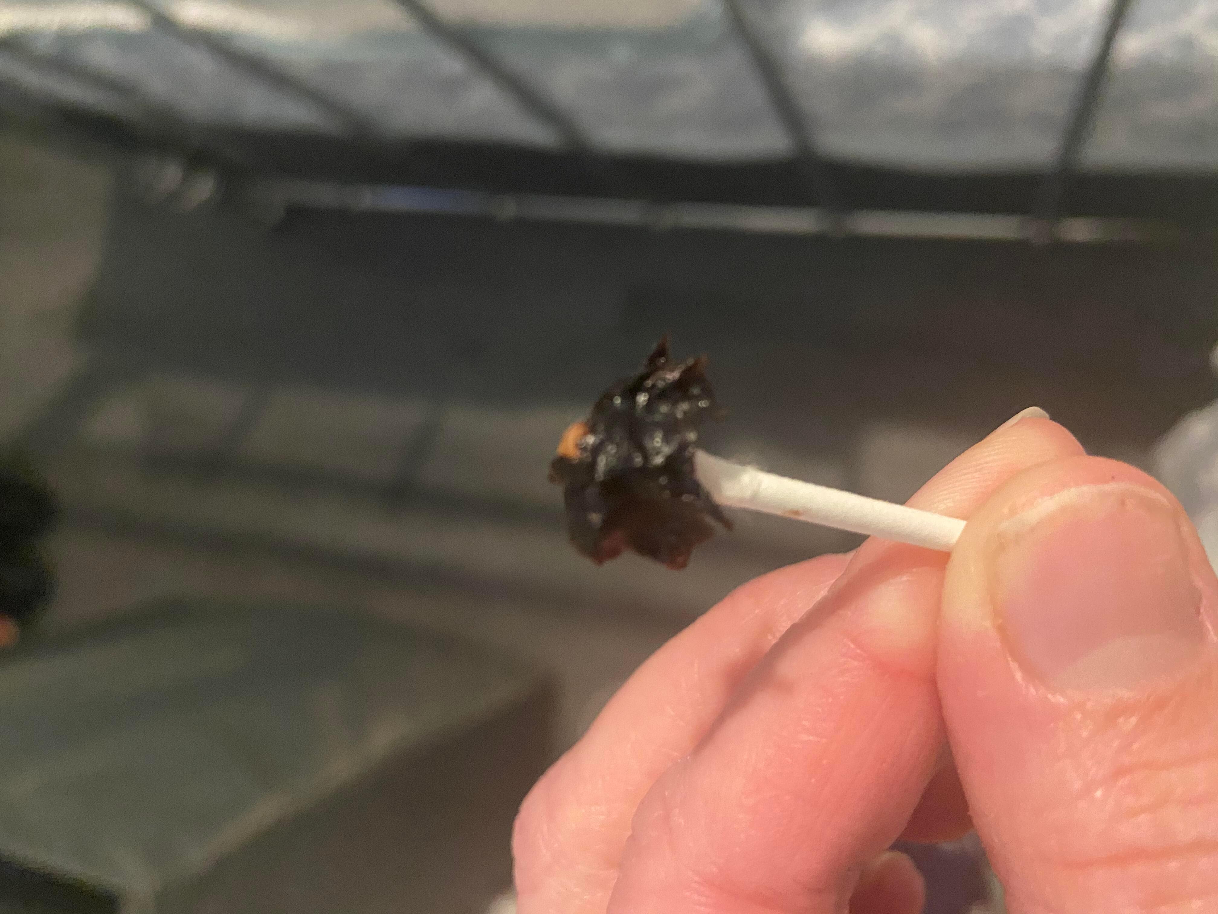 Question details sensitive content