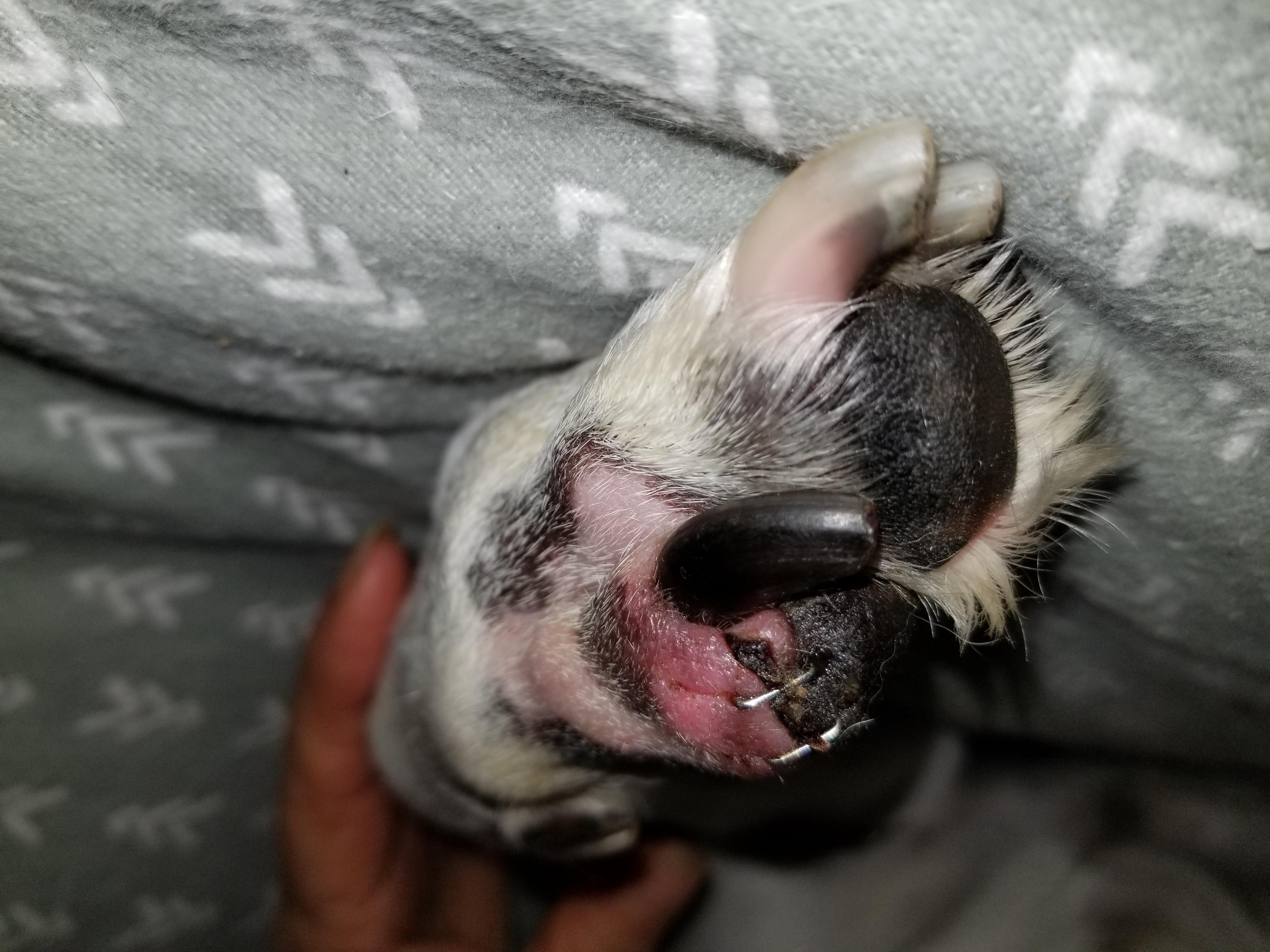 Question details sensitive content