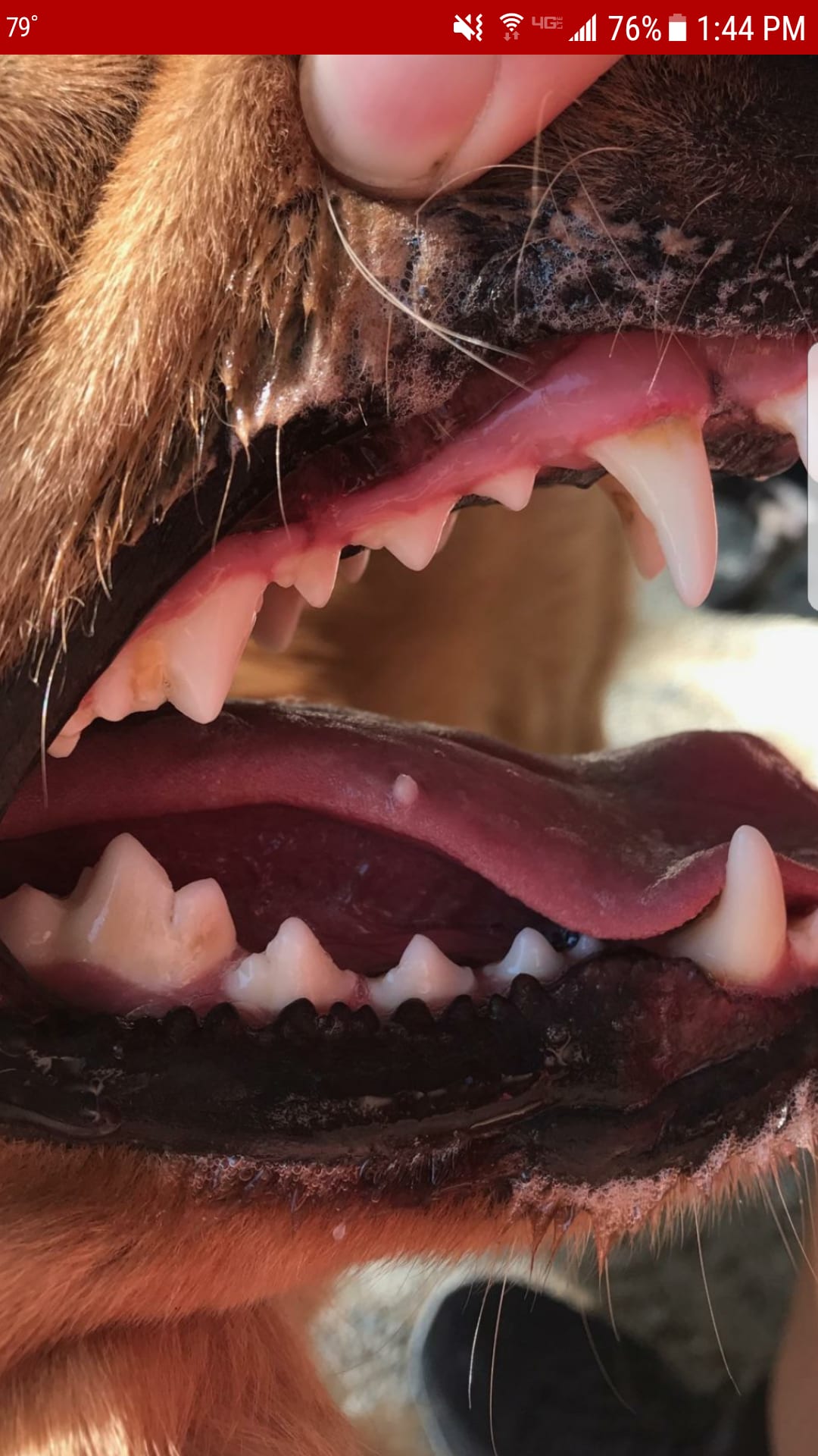 Question details sensitive content