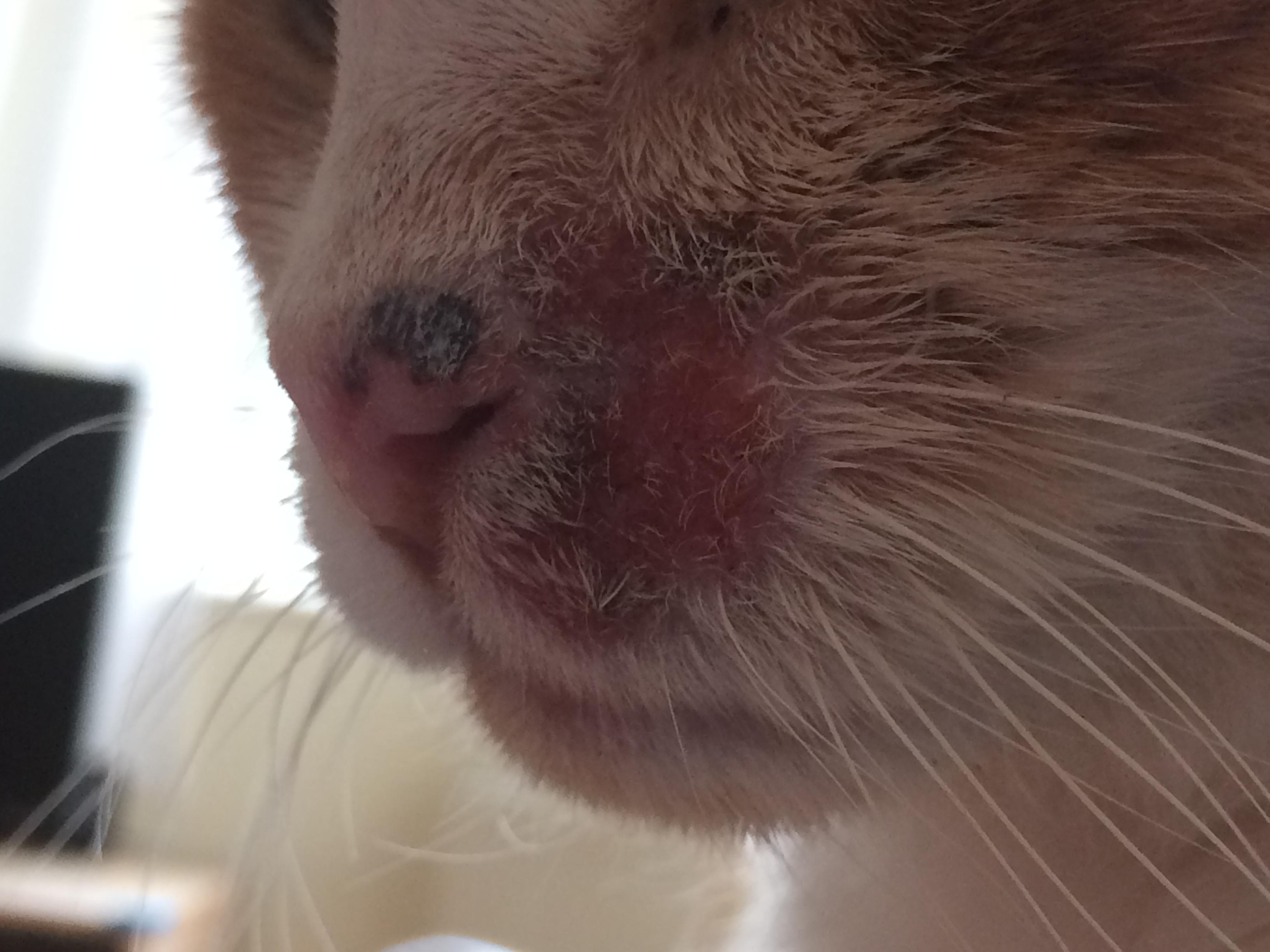 Question details sensitive content