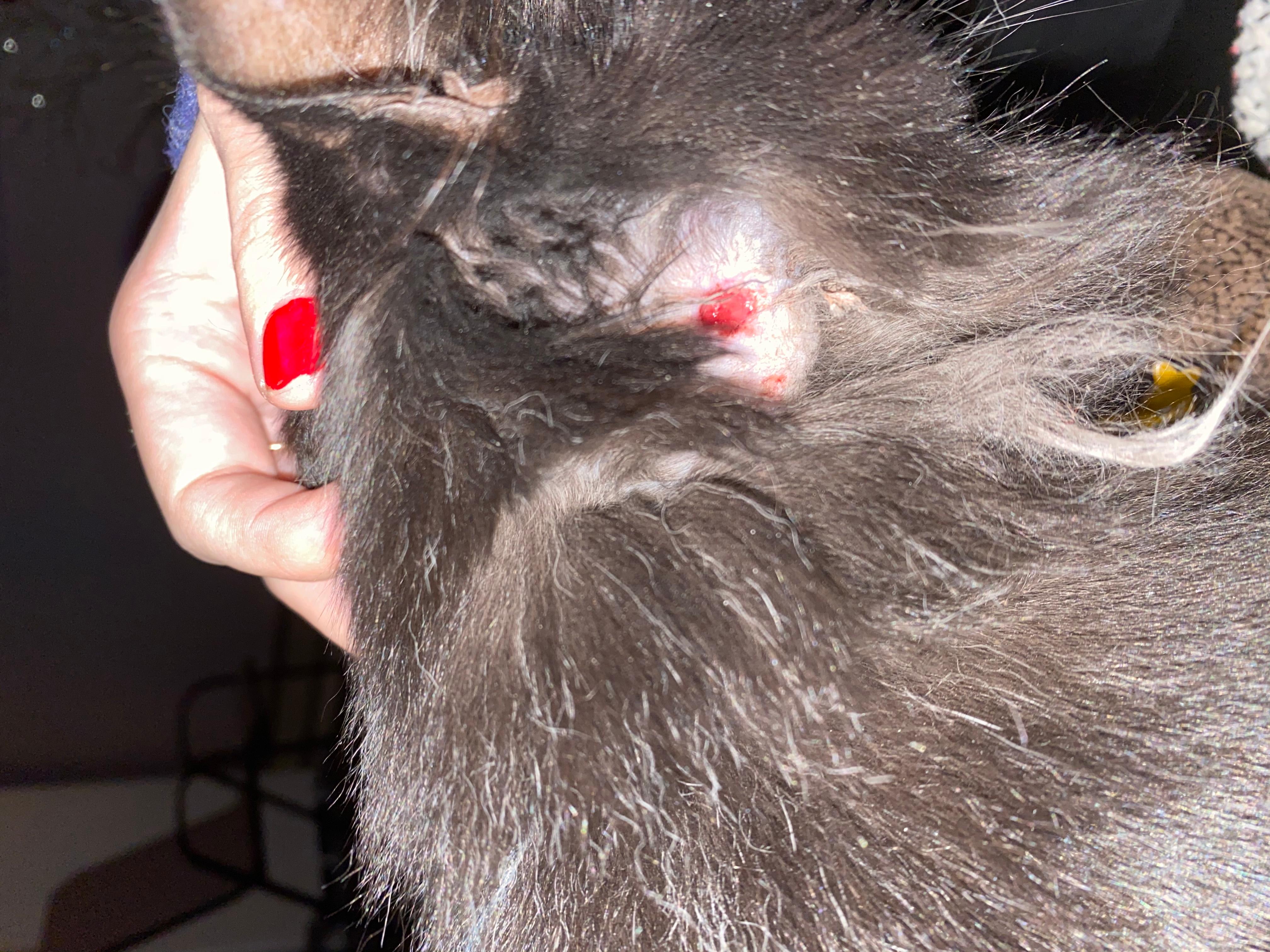 Question details sensitive content