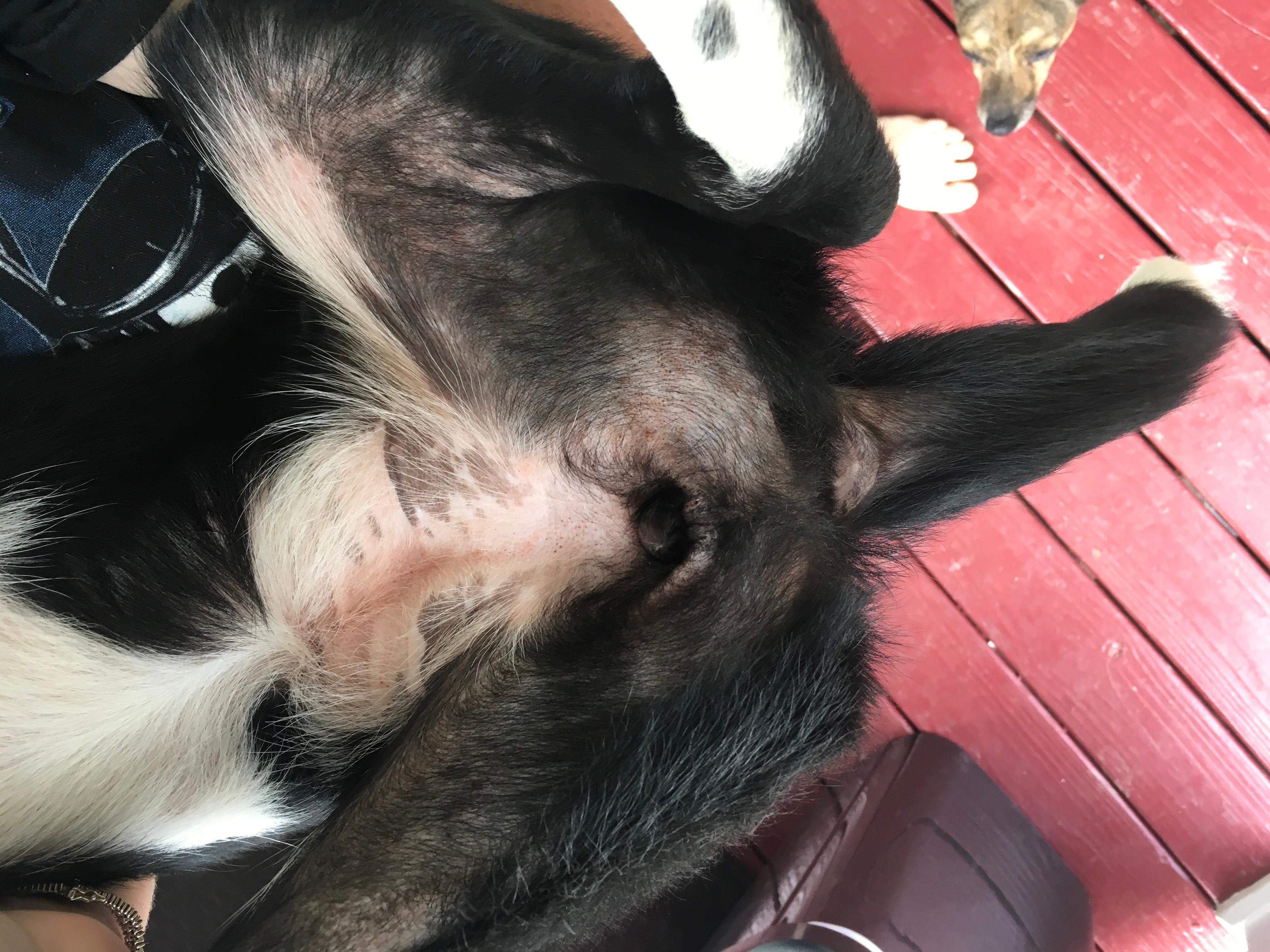 Question details sensitive content