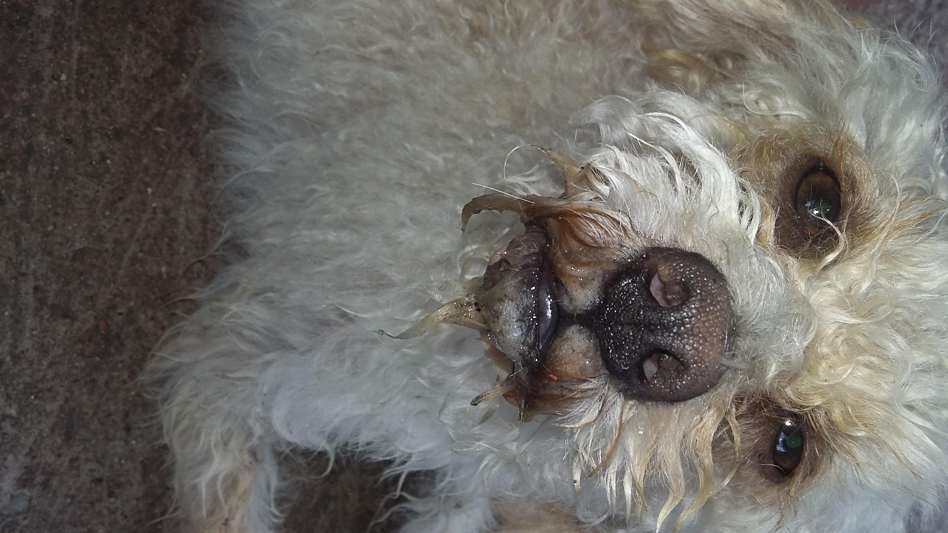 Question details sensitive content