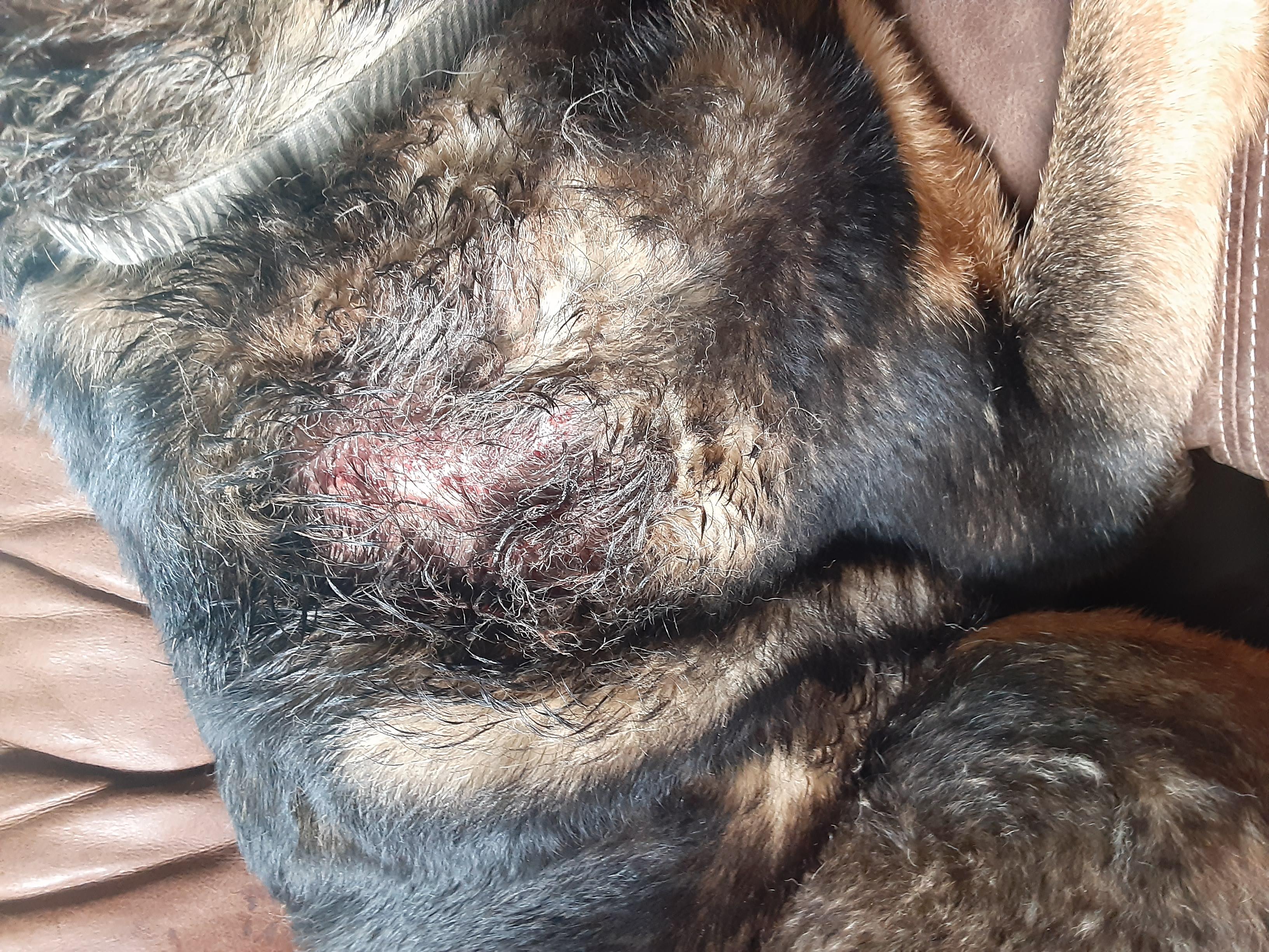 Question details sensitive content