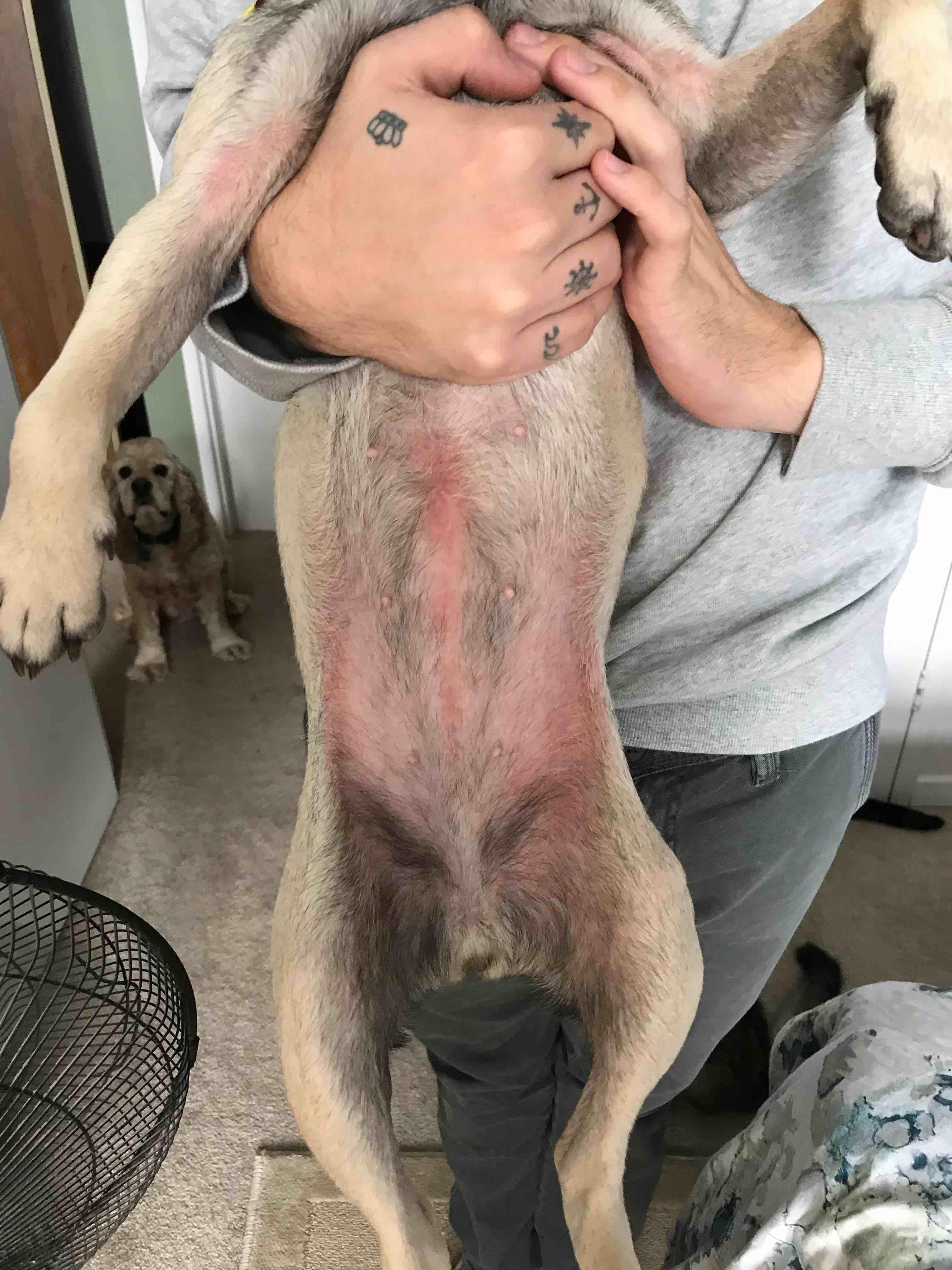 Question details sensitive content