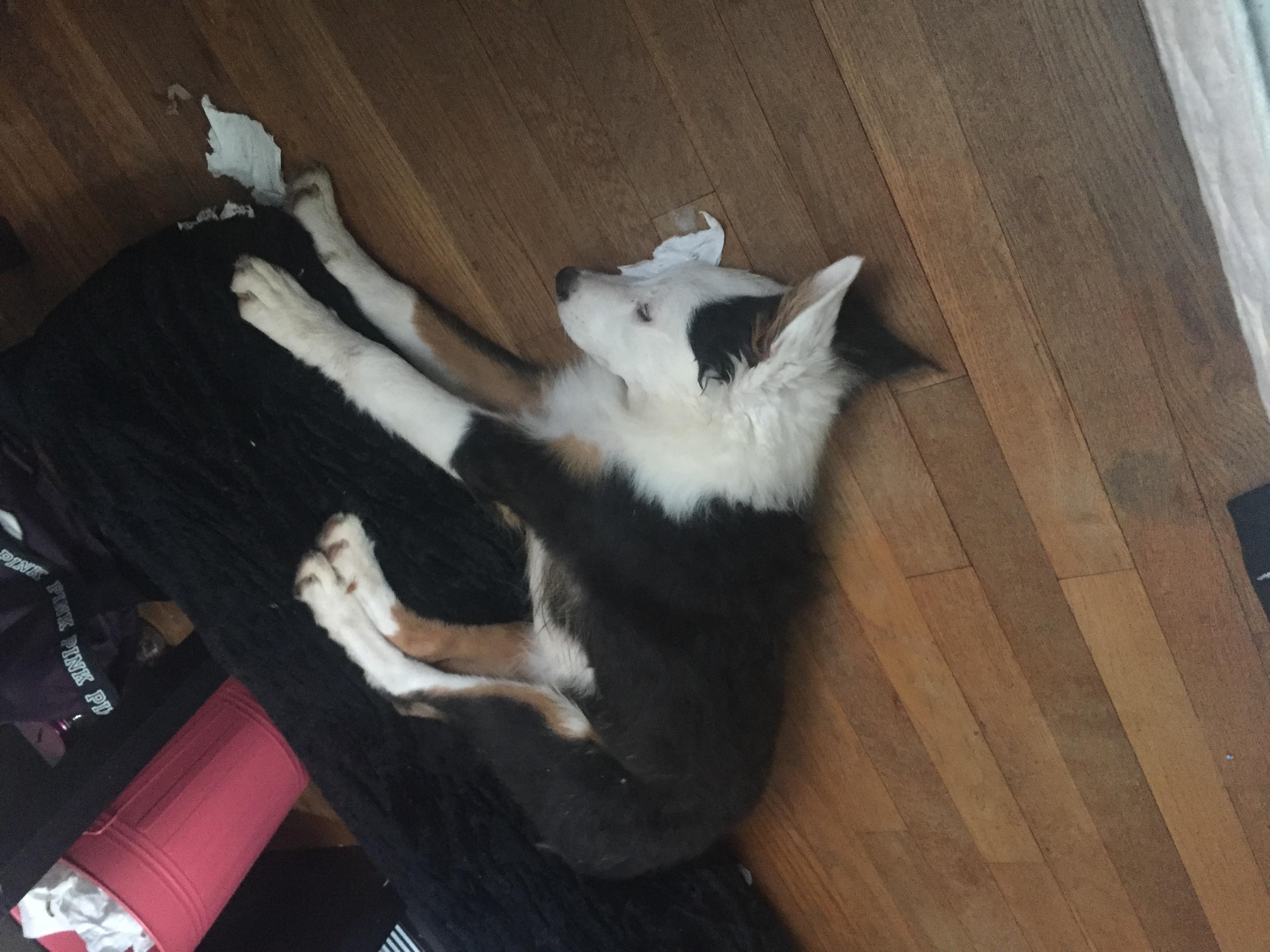 Question details sensitive content