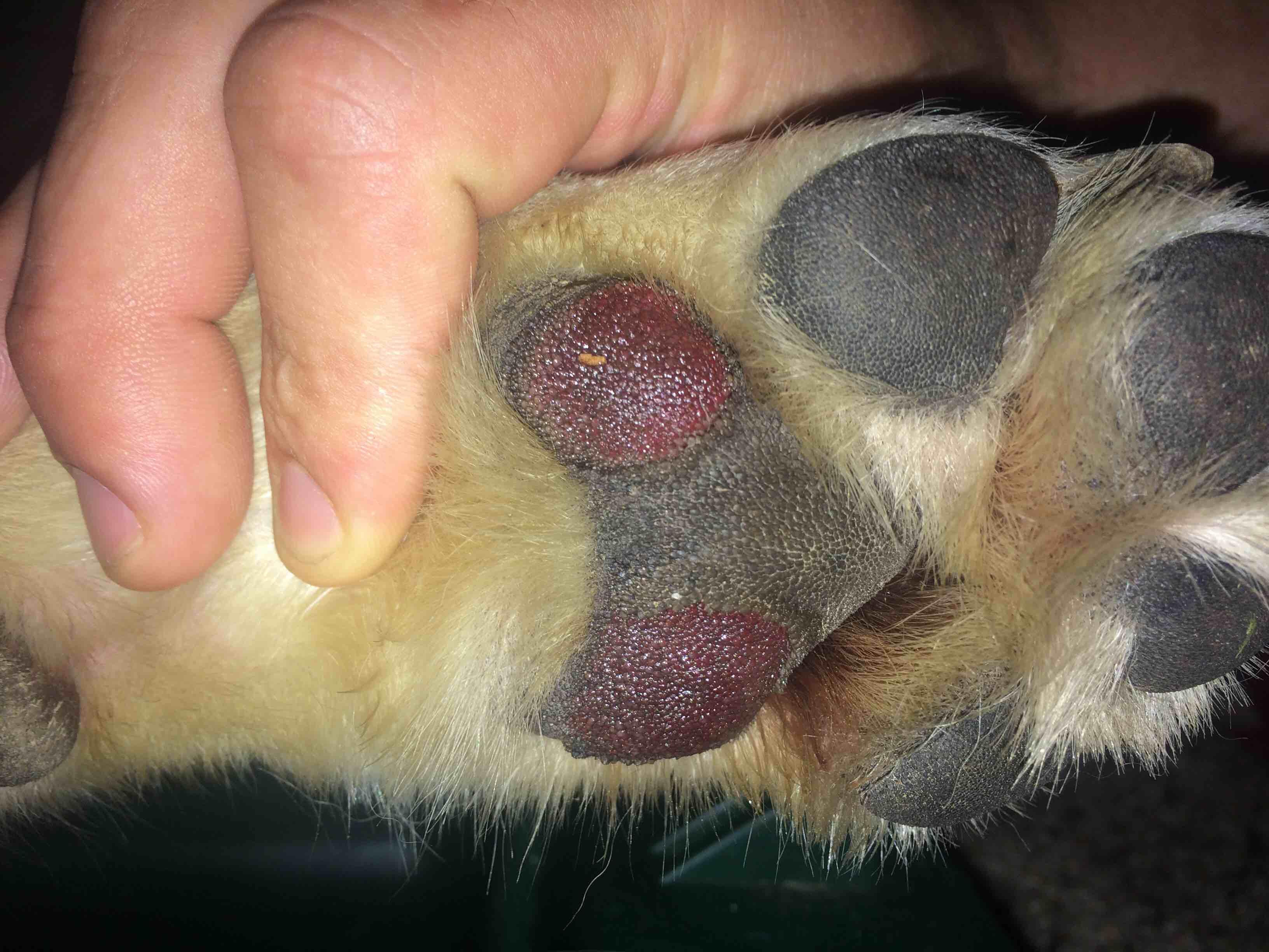 Question details sensitive content