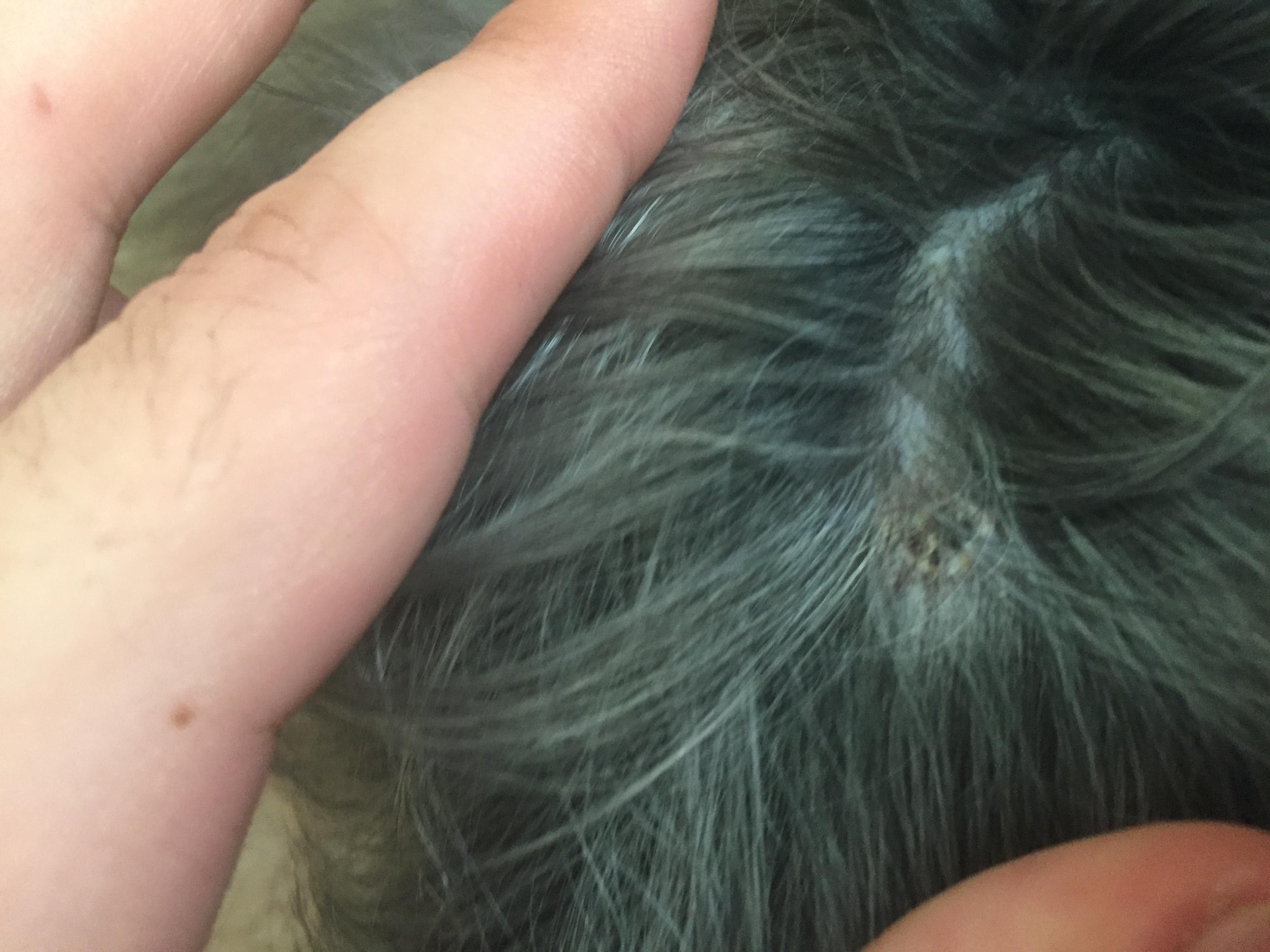 Question details sensitive content