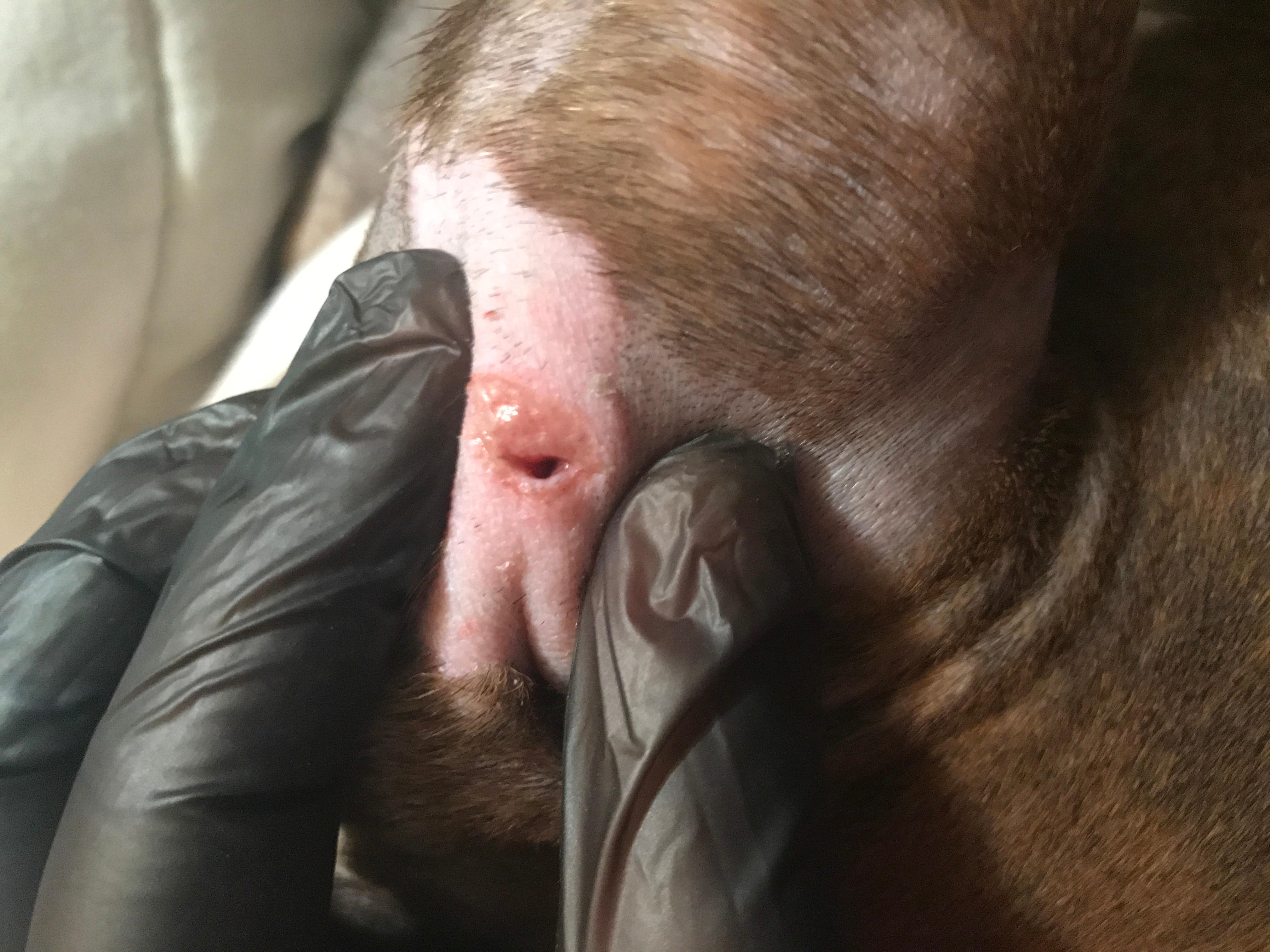 Question details sensitive content