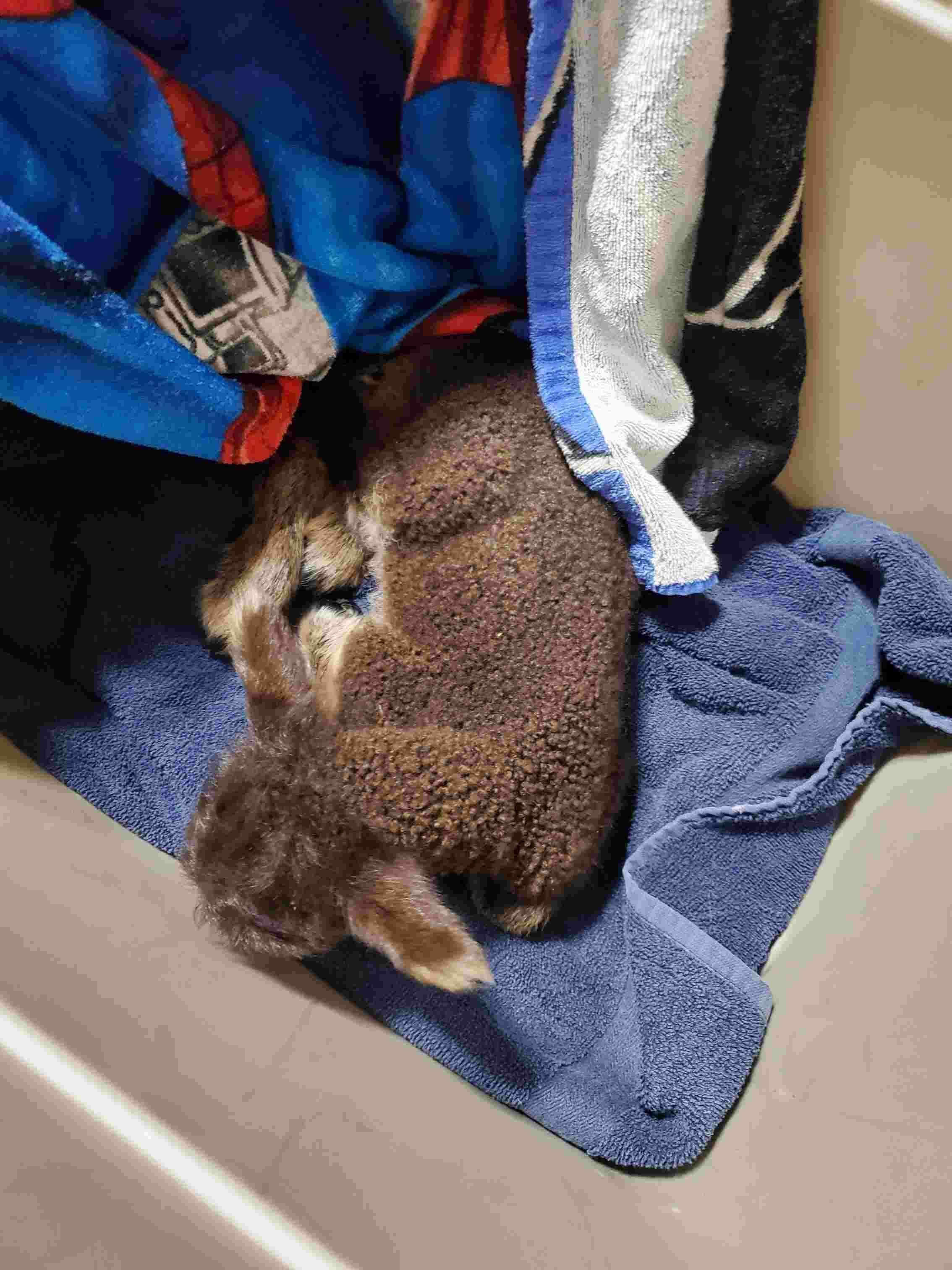 Question details sensitive content