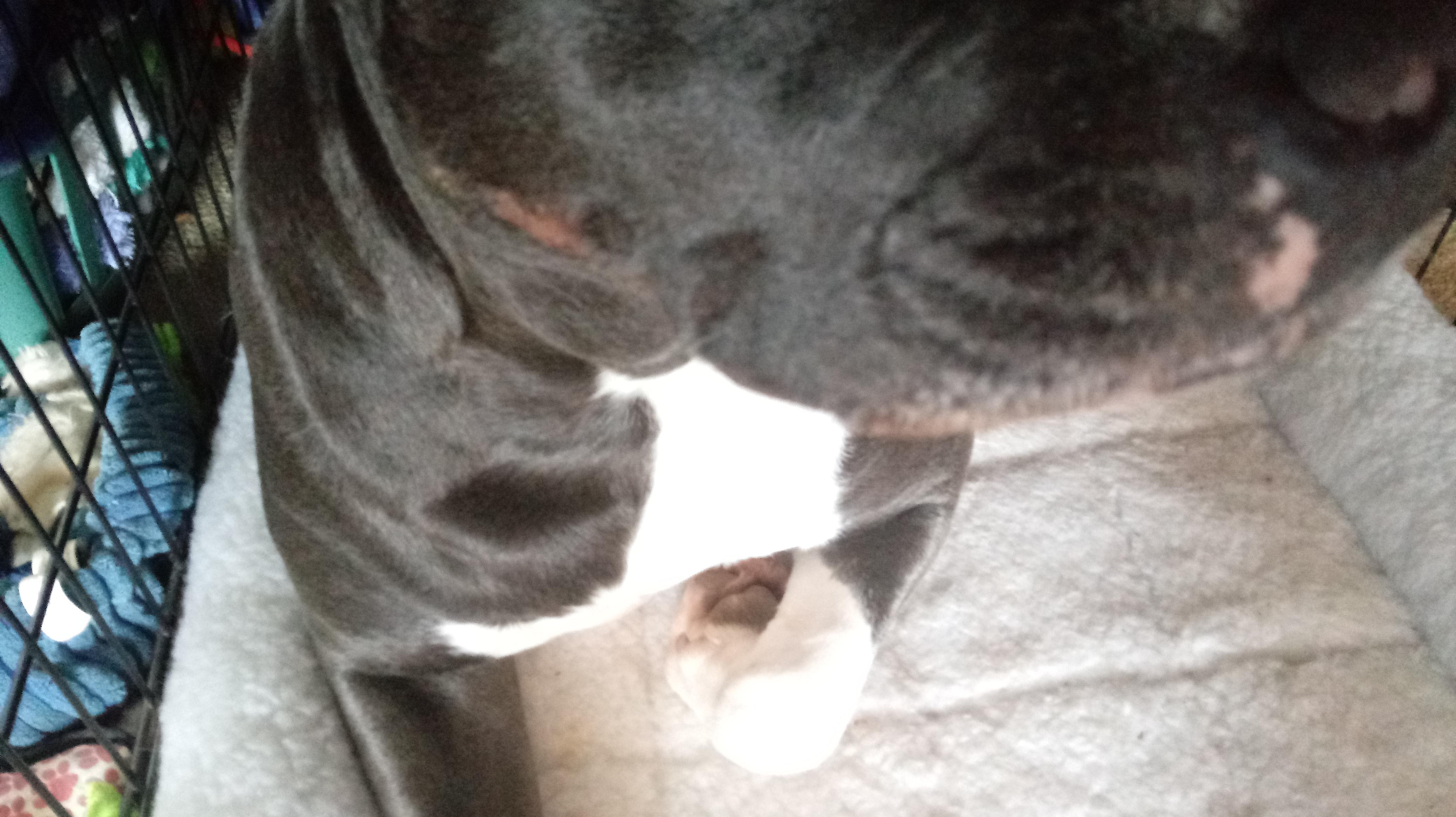 Question details sensitive content