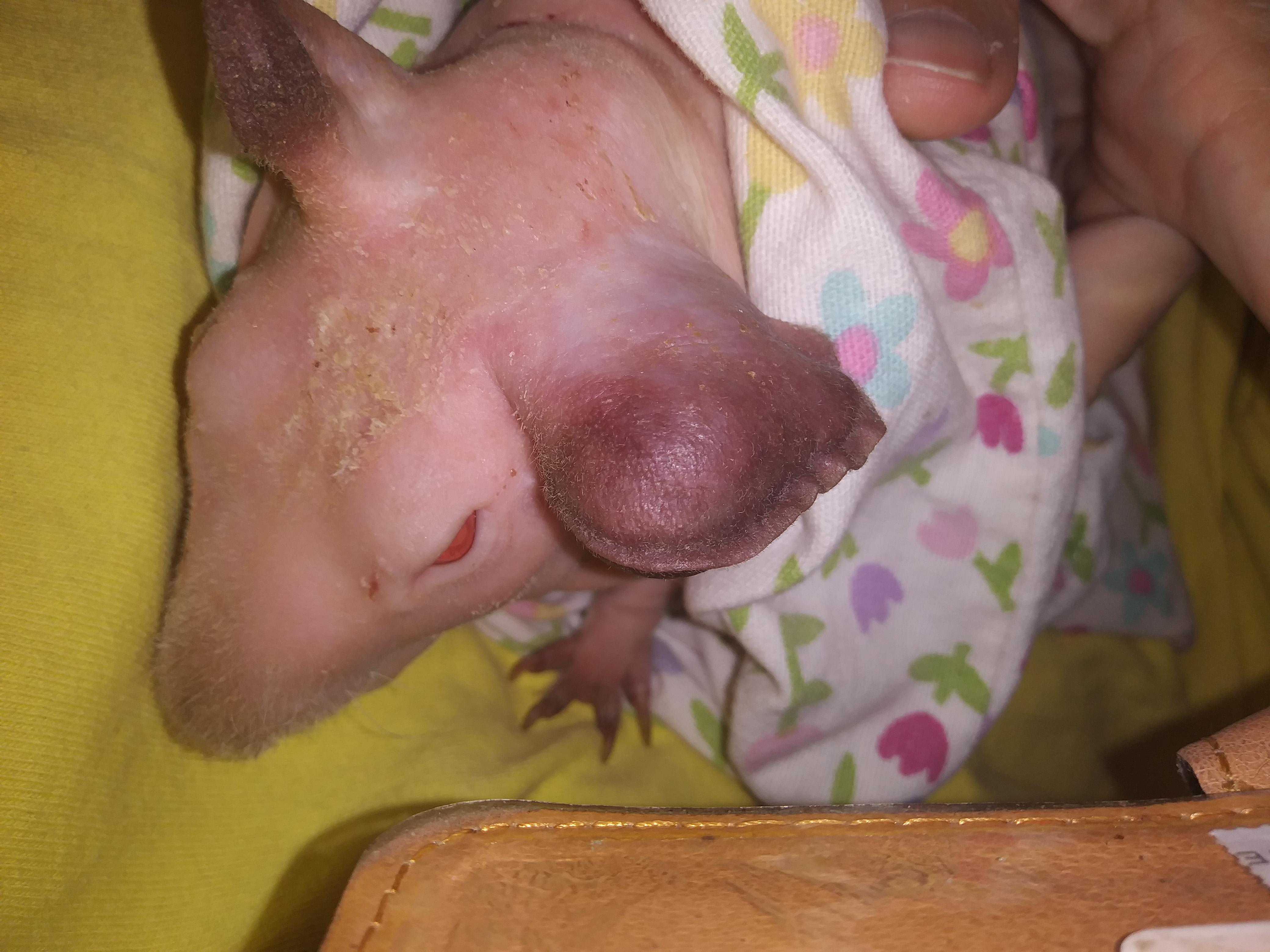 Question details sensitive content