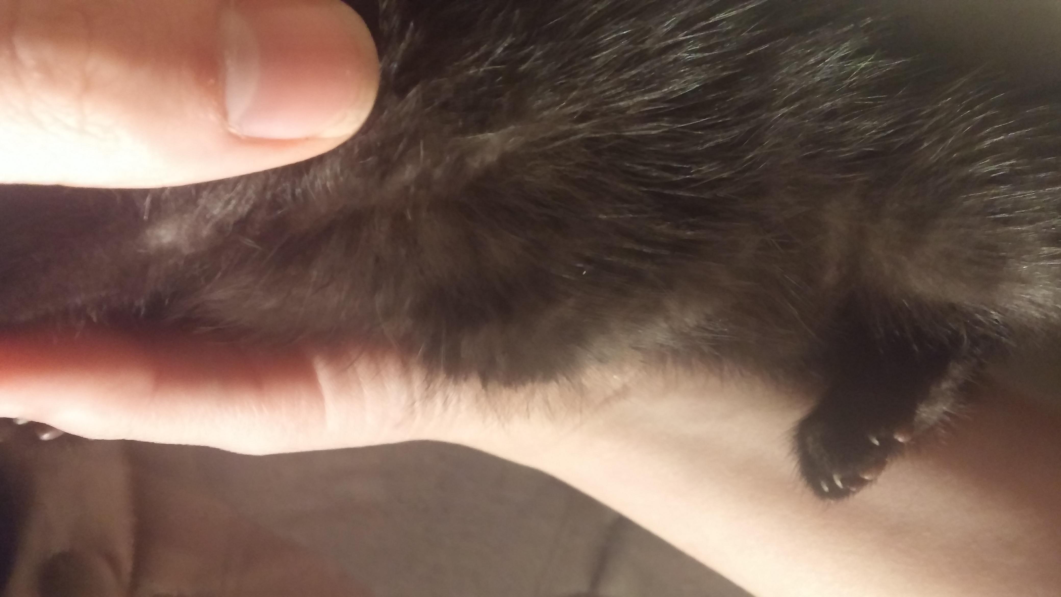 Question details sensitive content