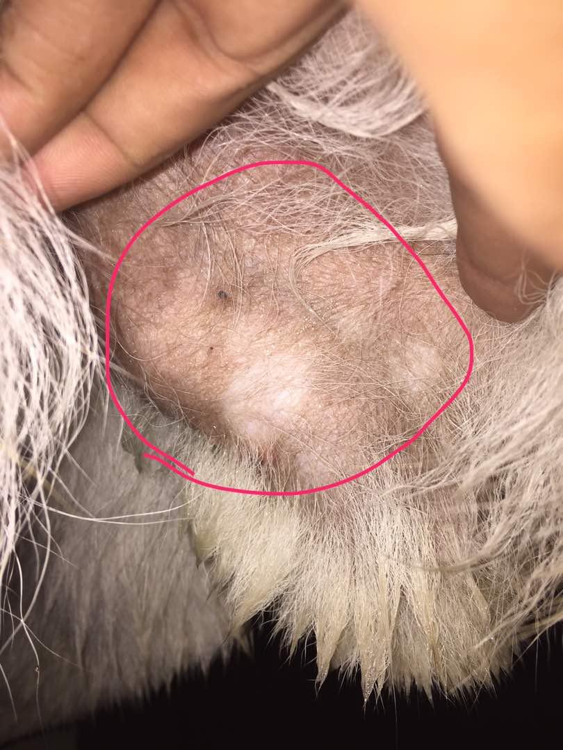 Question details sensitive content