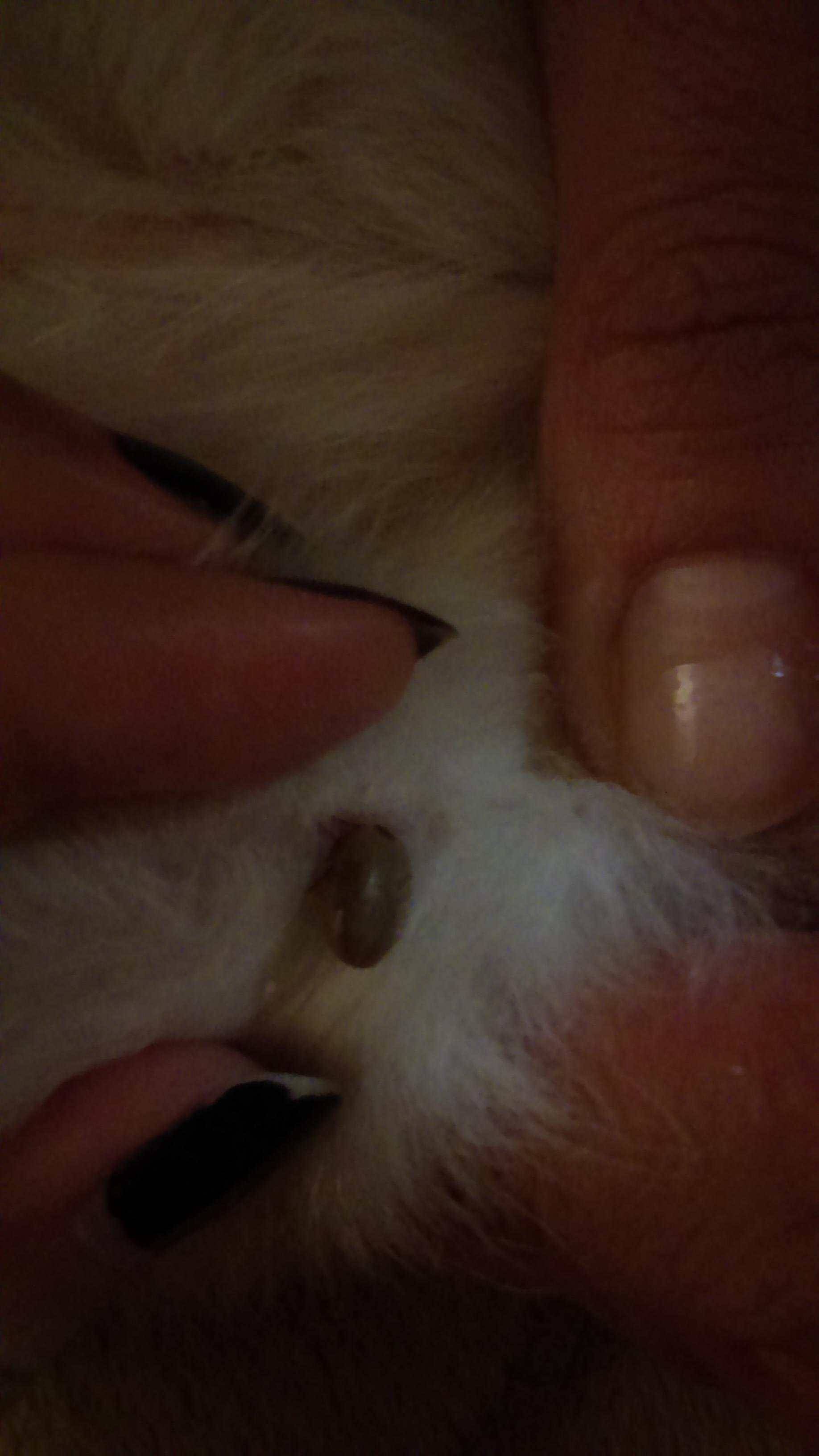 Question details sensitive content