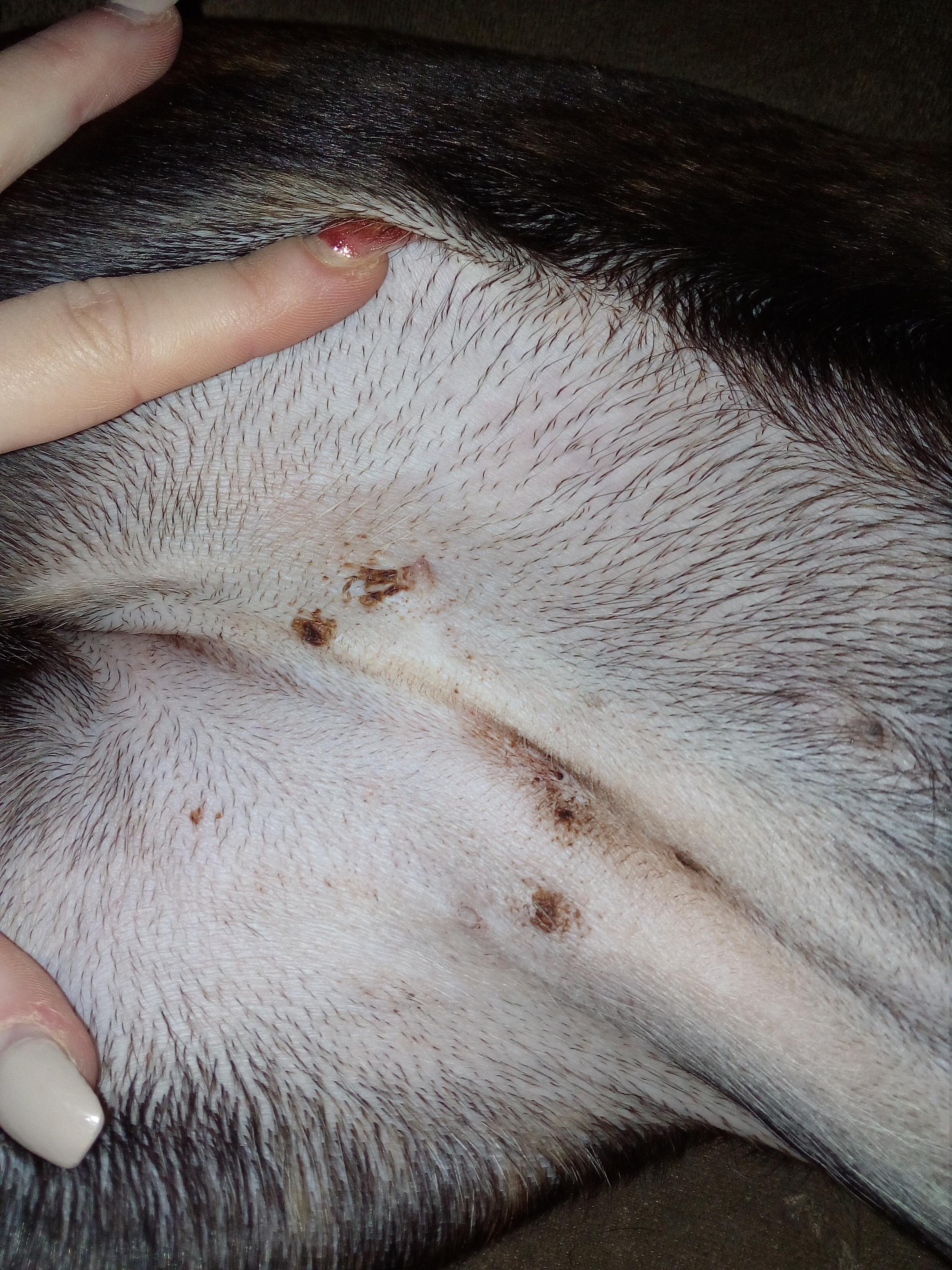 Question details sensitive content