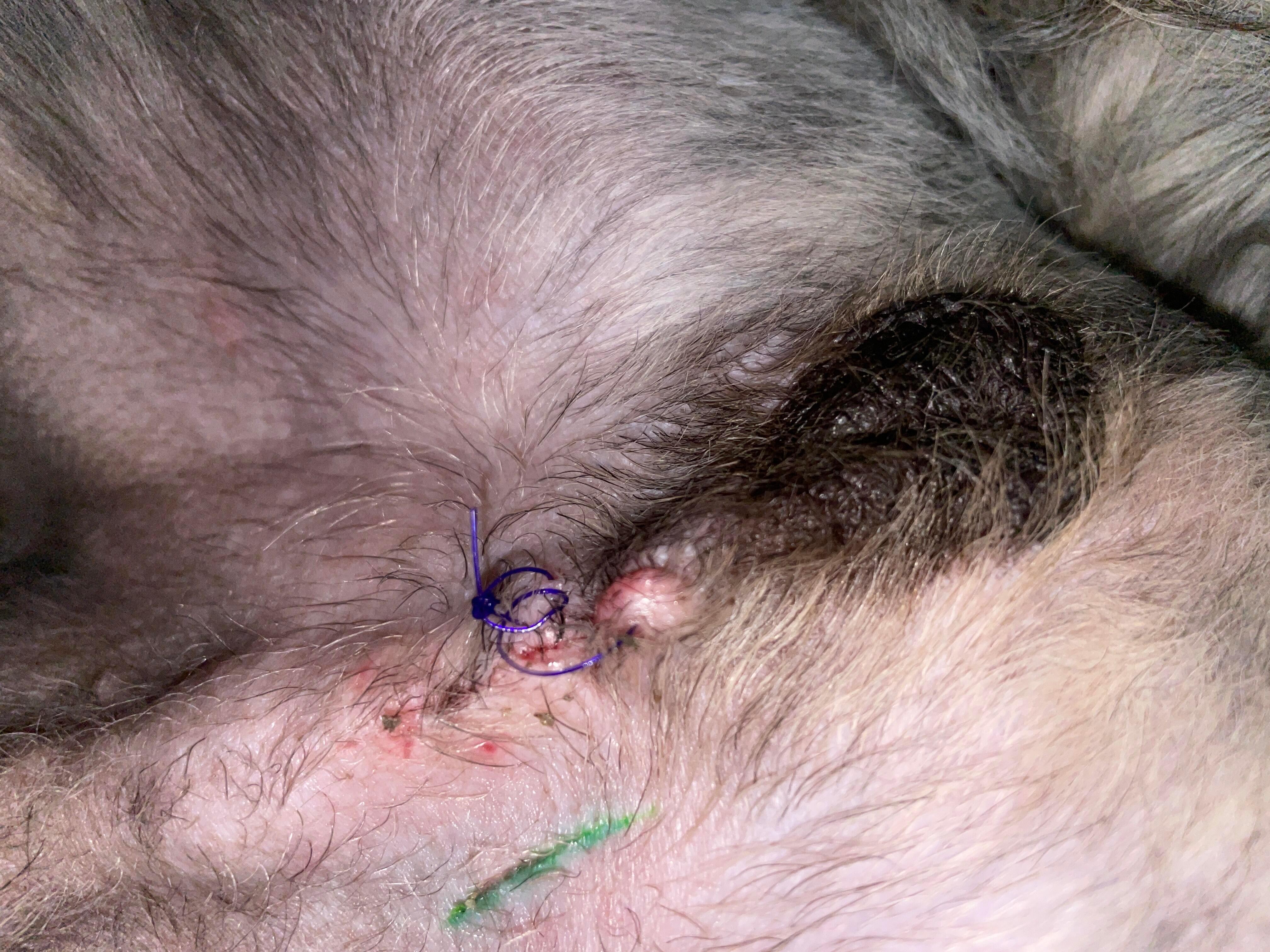 Question details sensitive content