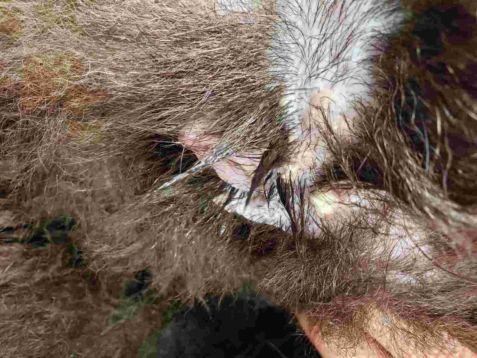 Question details sensitive content