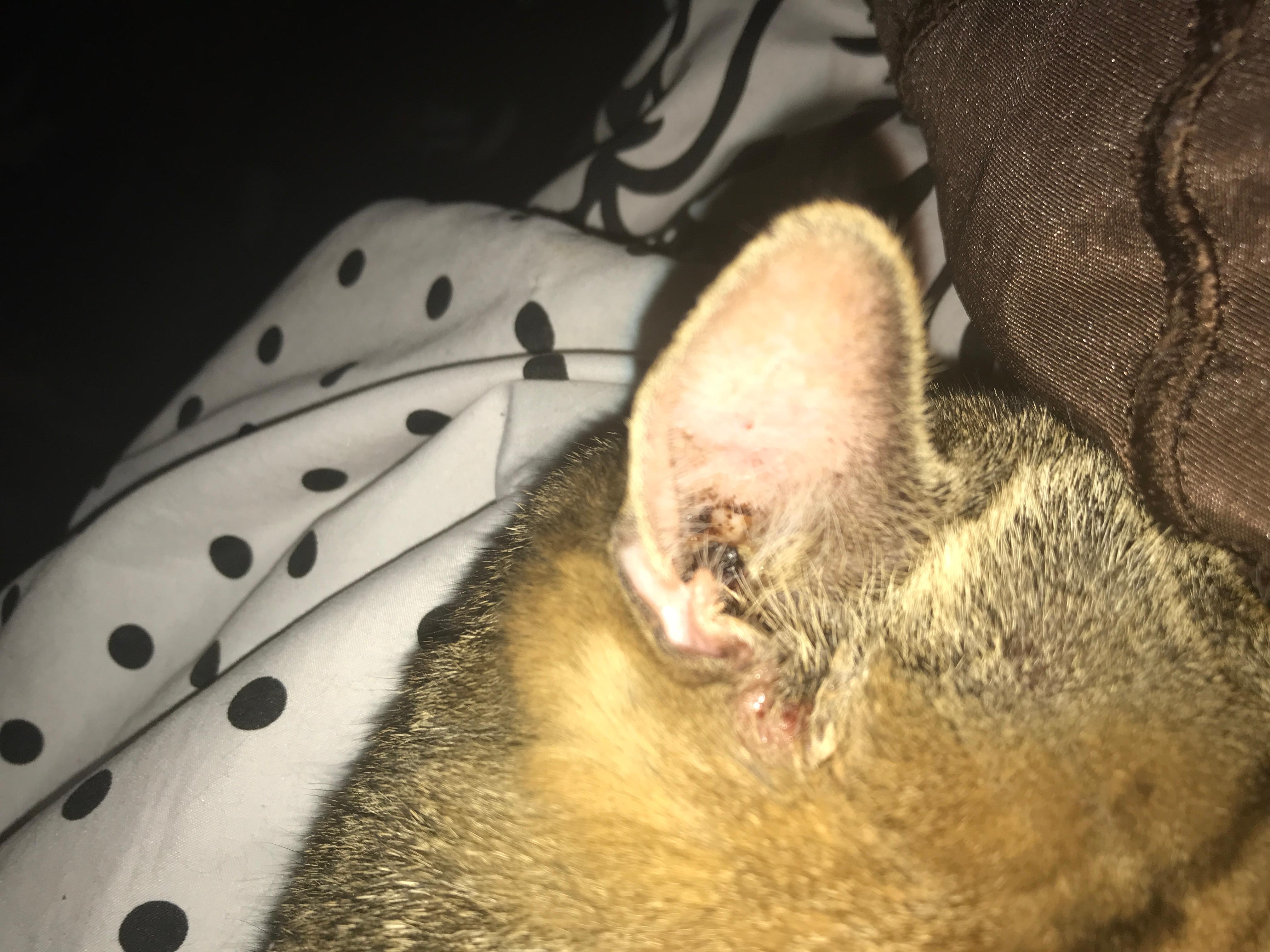 Question details sensitive content