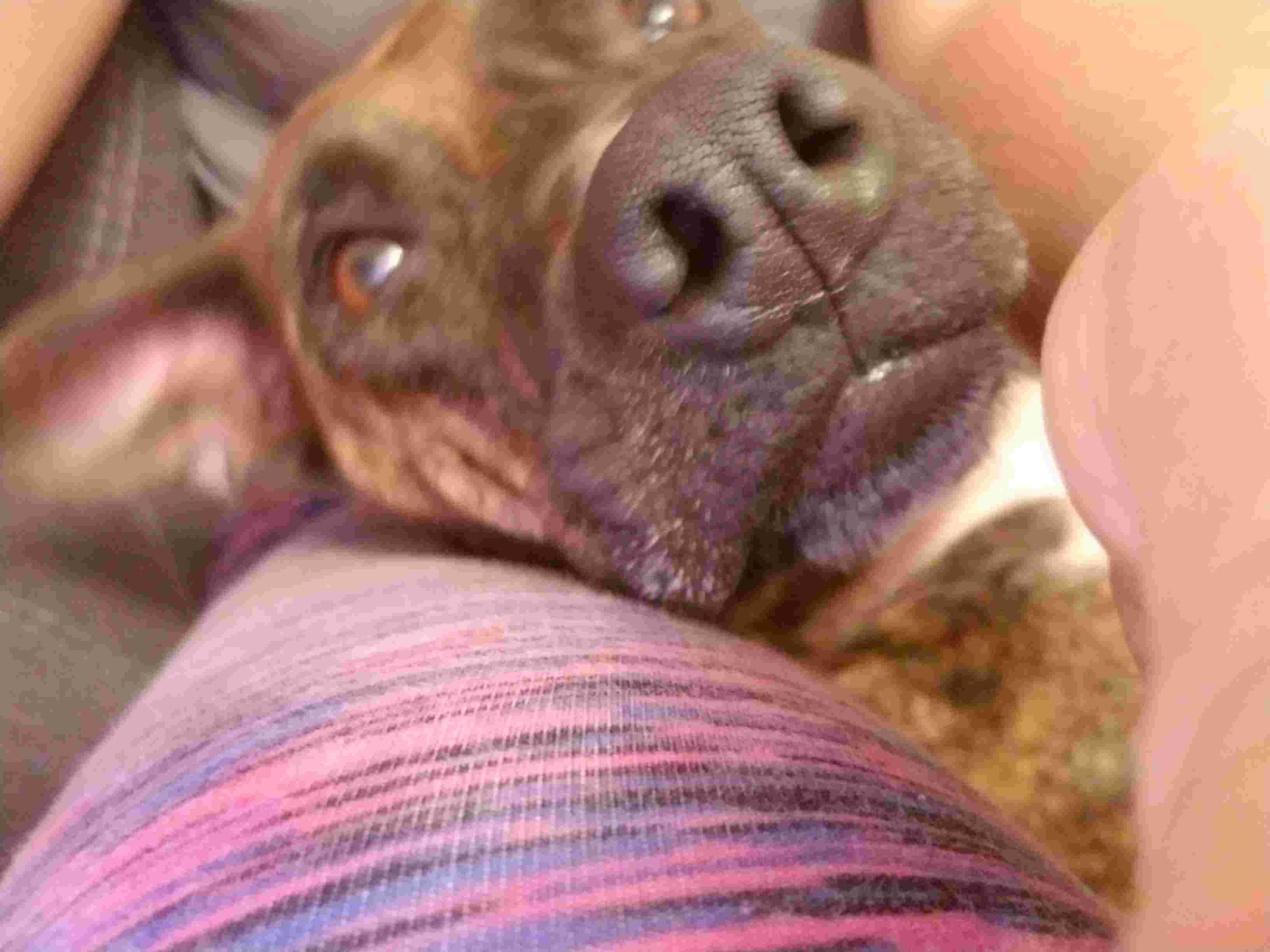 Question details sensitive content