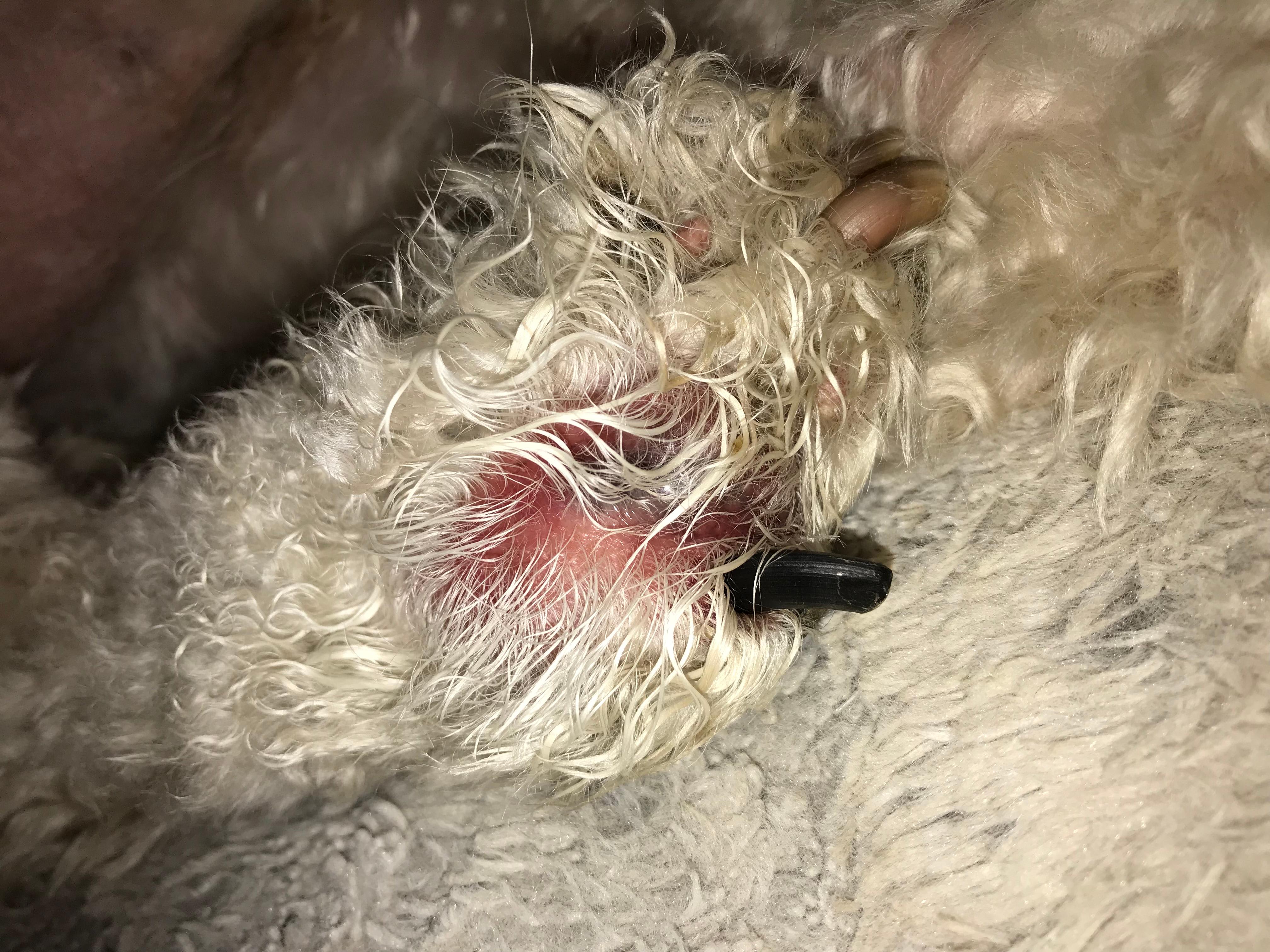 Question details sensitive content