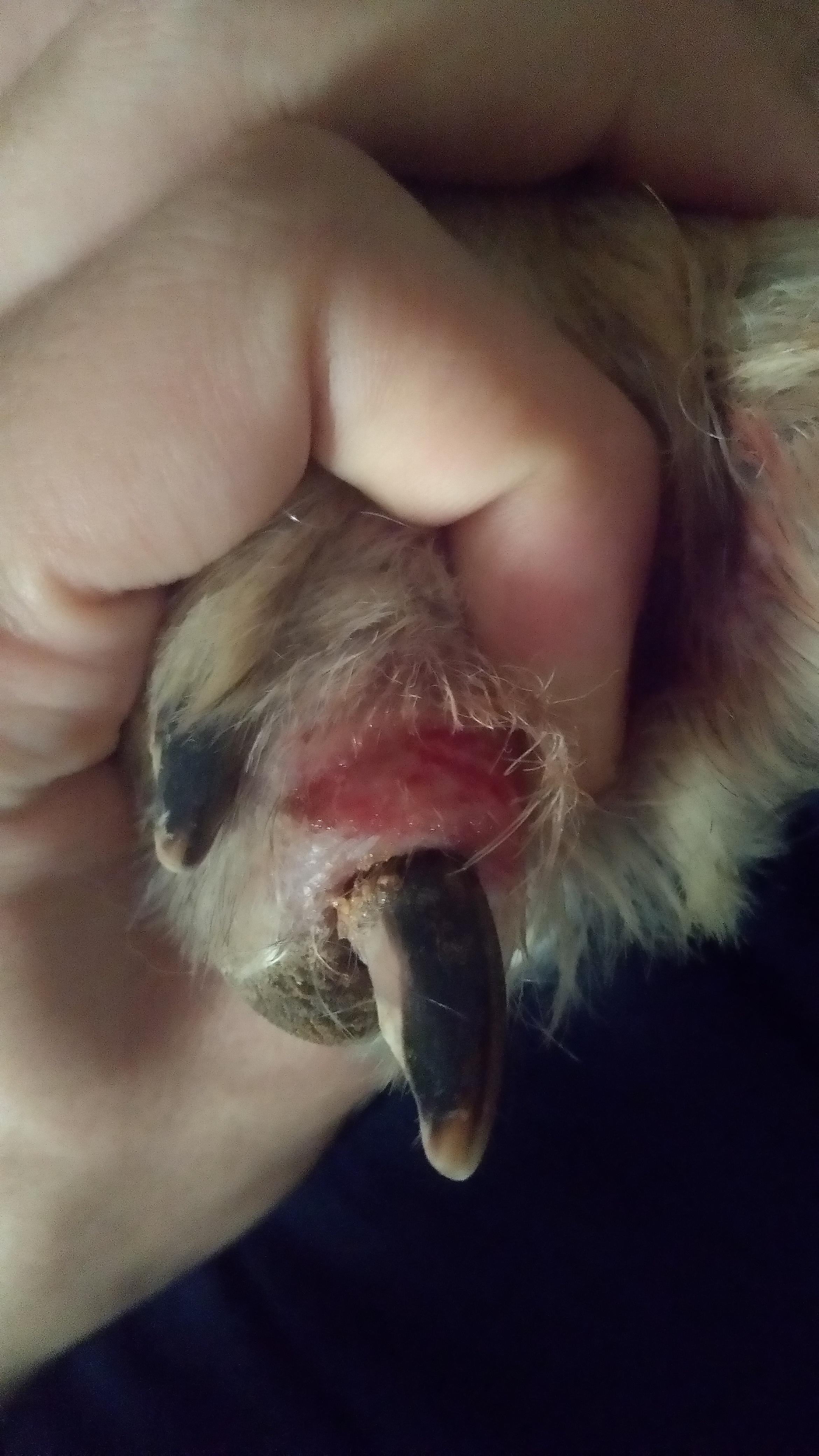 Question details sensitive content