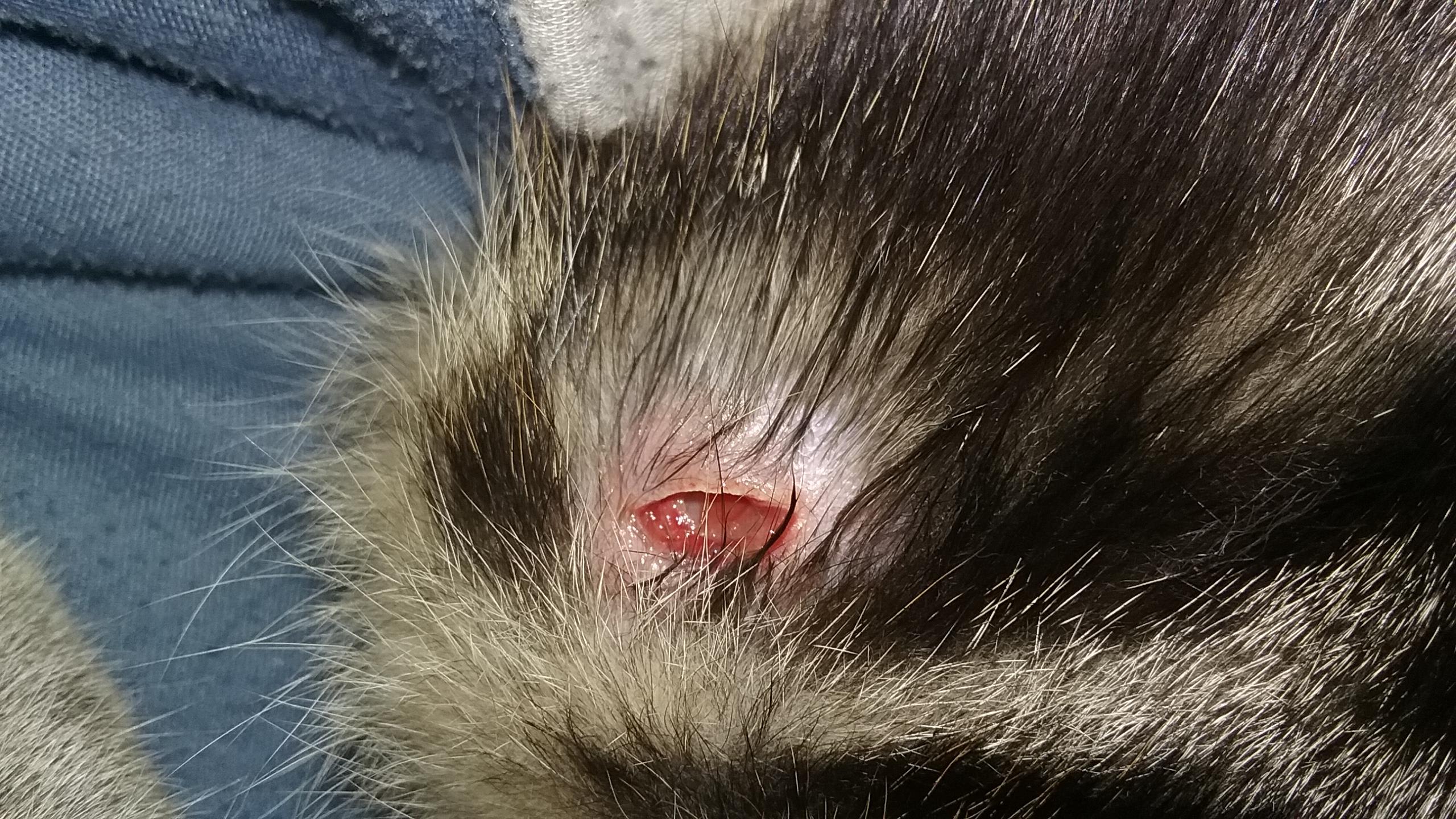 Question details sensitive content