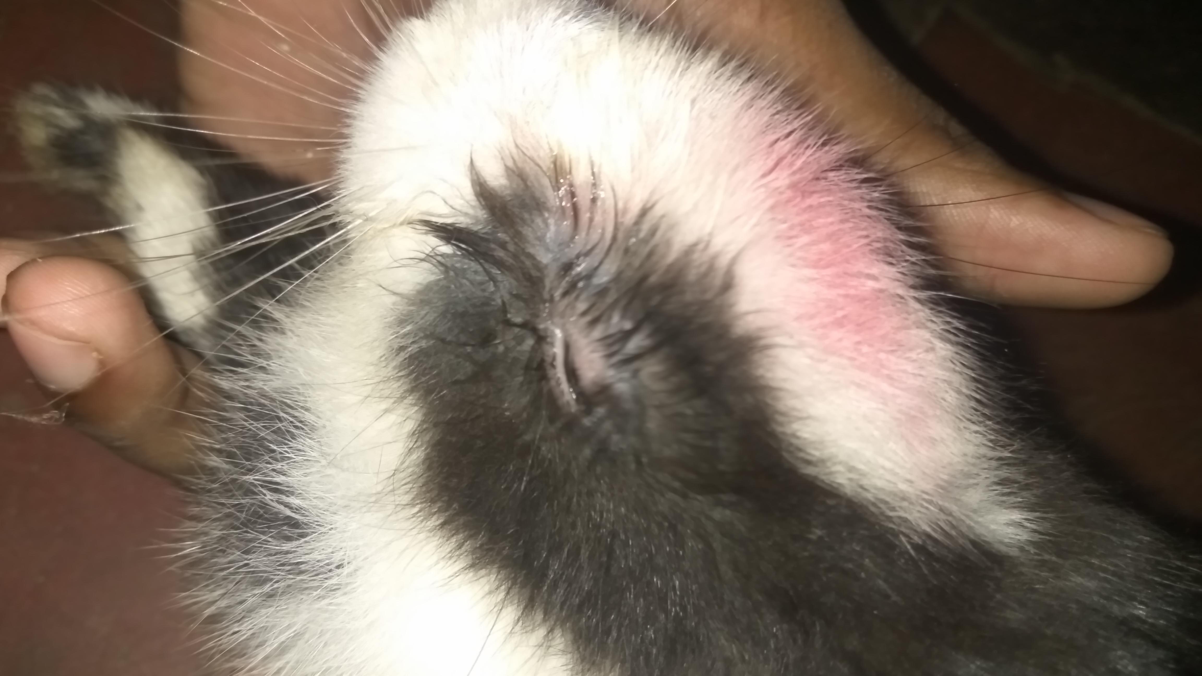 Question details sensitive content