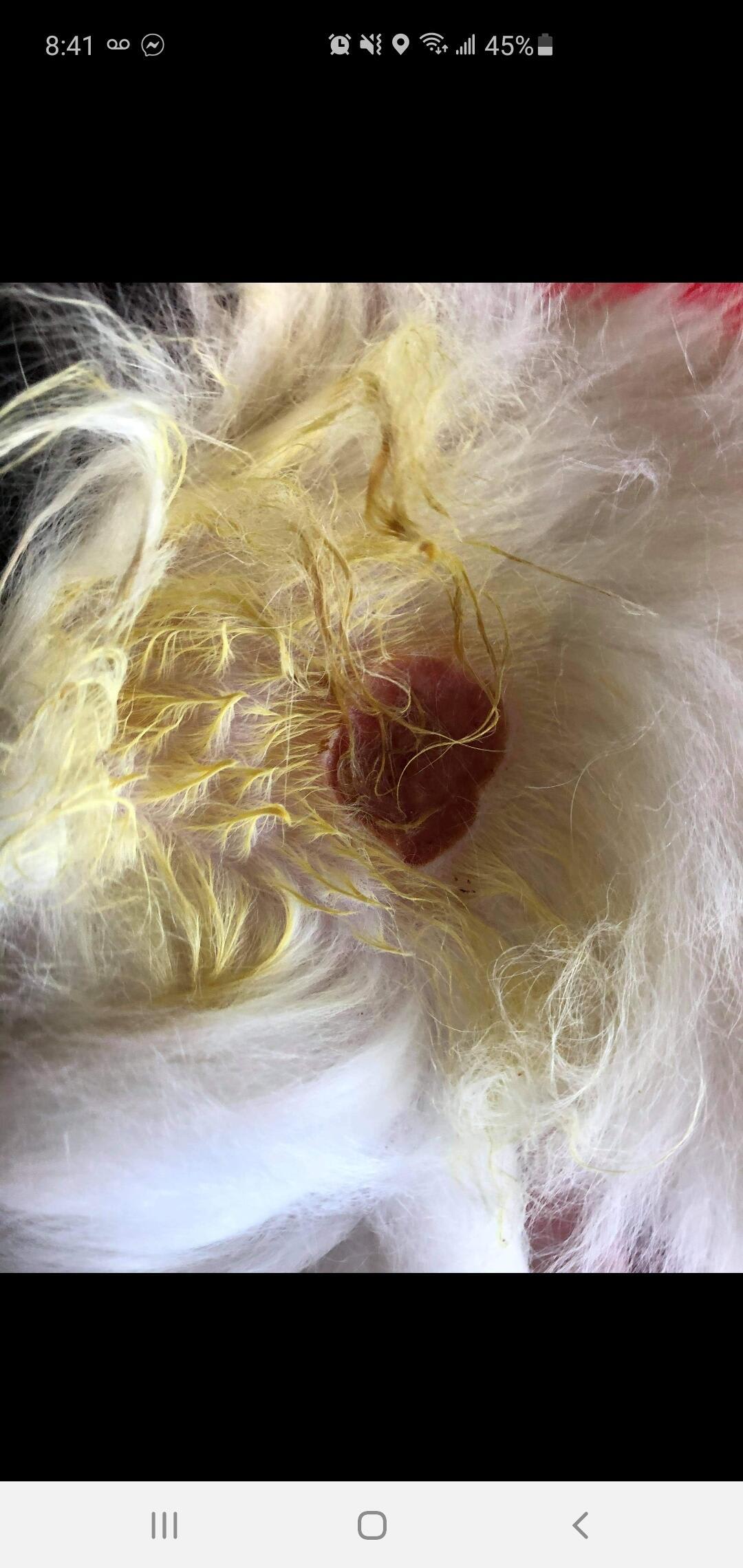 Question details sensitive content