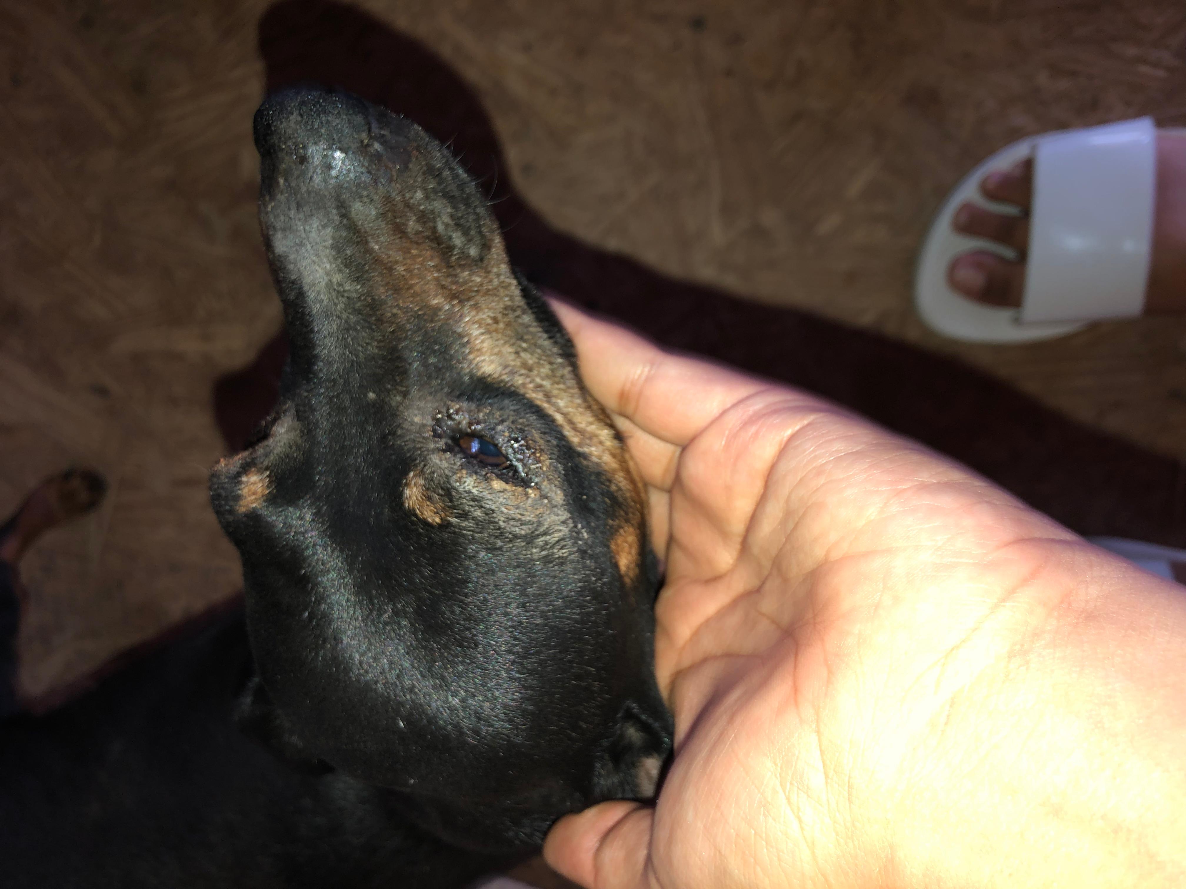 Question details sensitive content