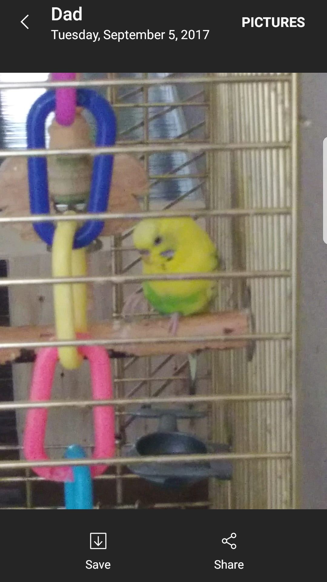 Question details sensitive content