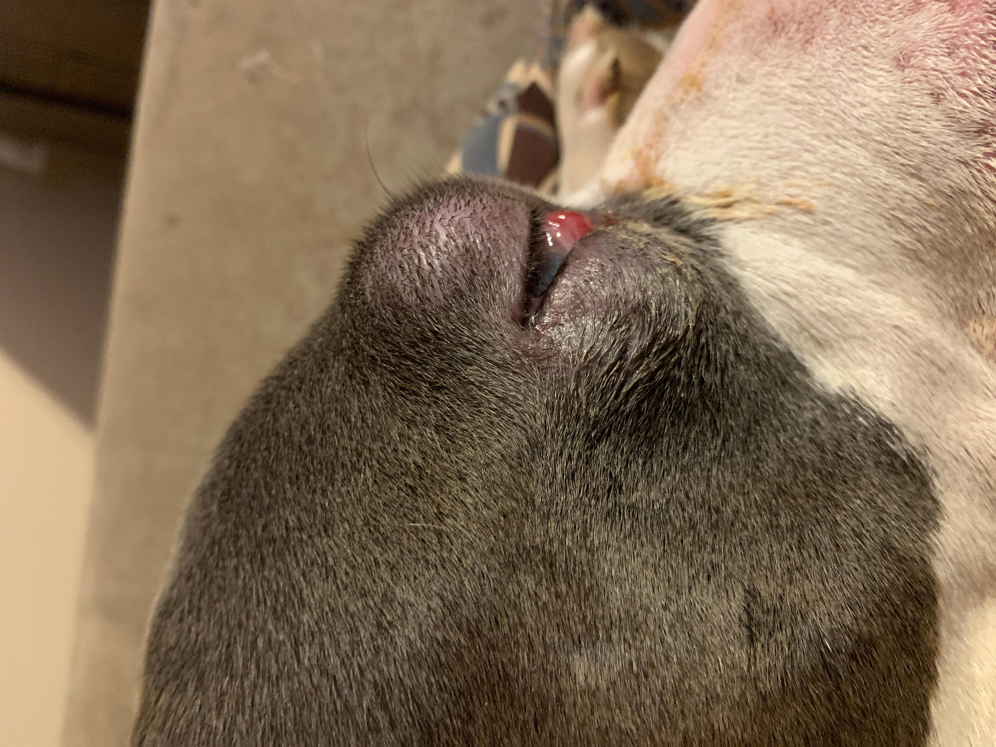 Question details sensitive content