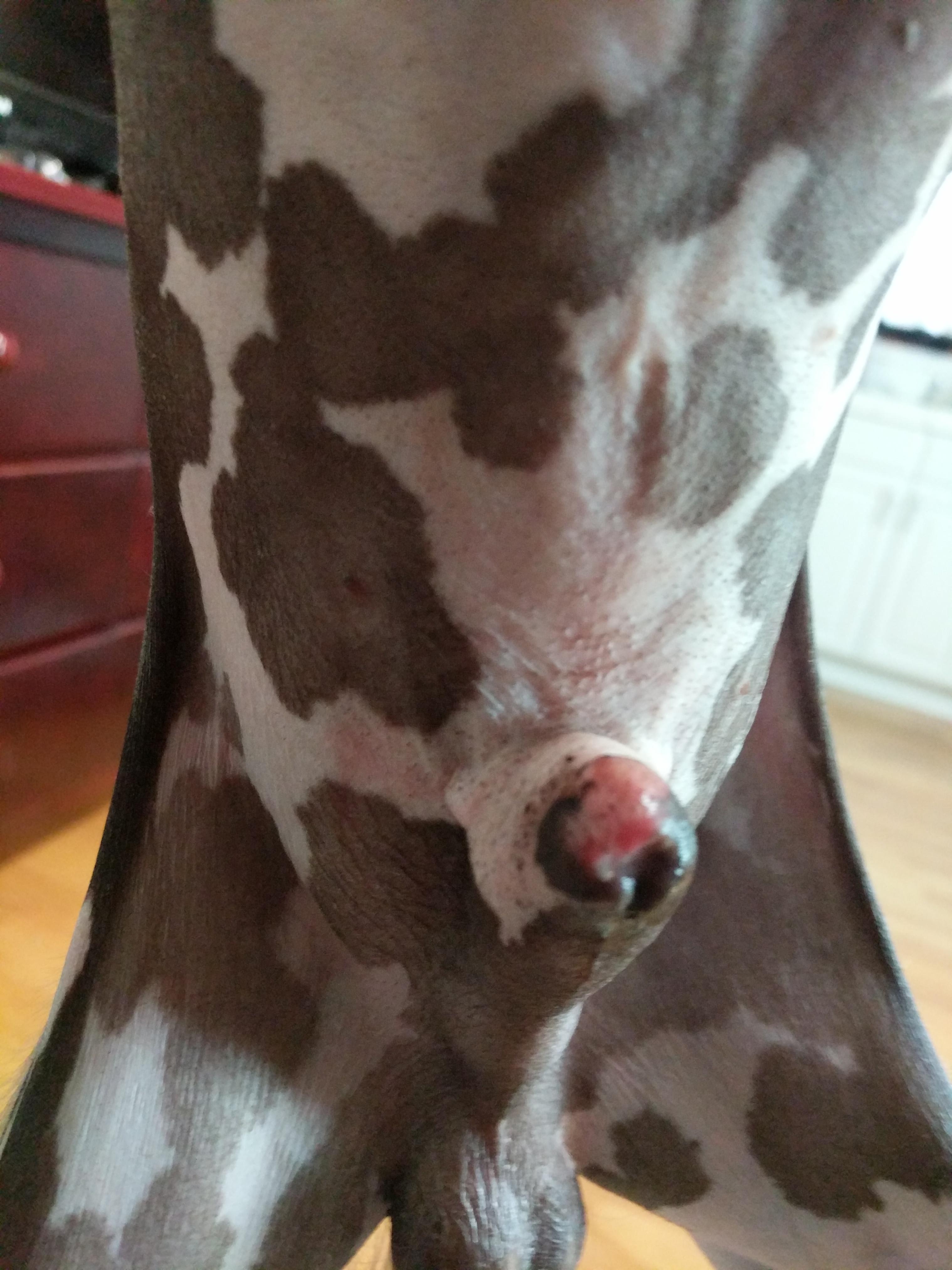 Question details sensitive content