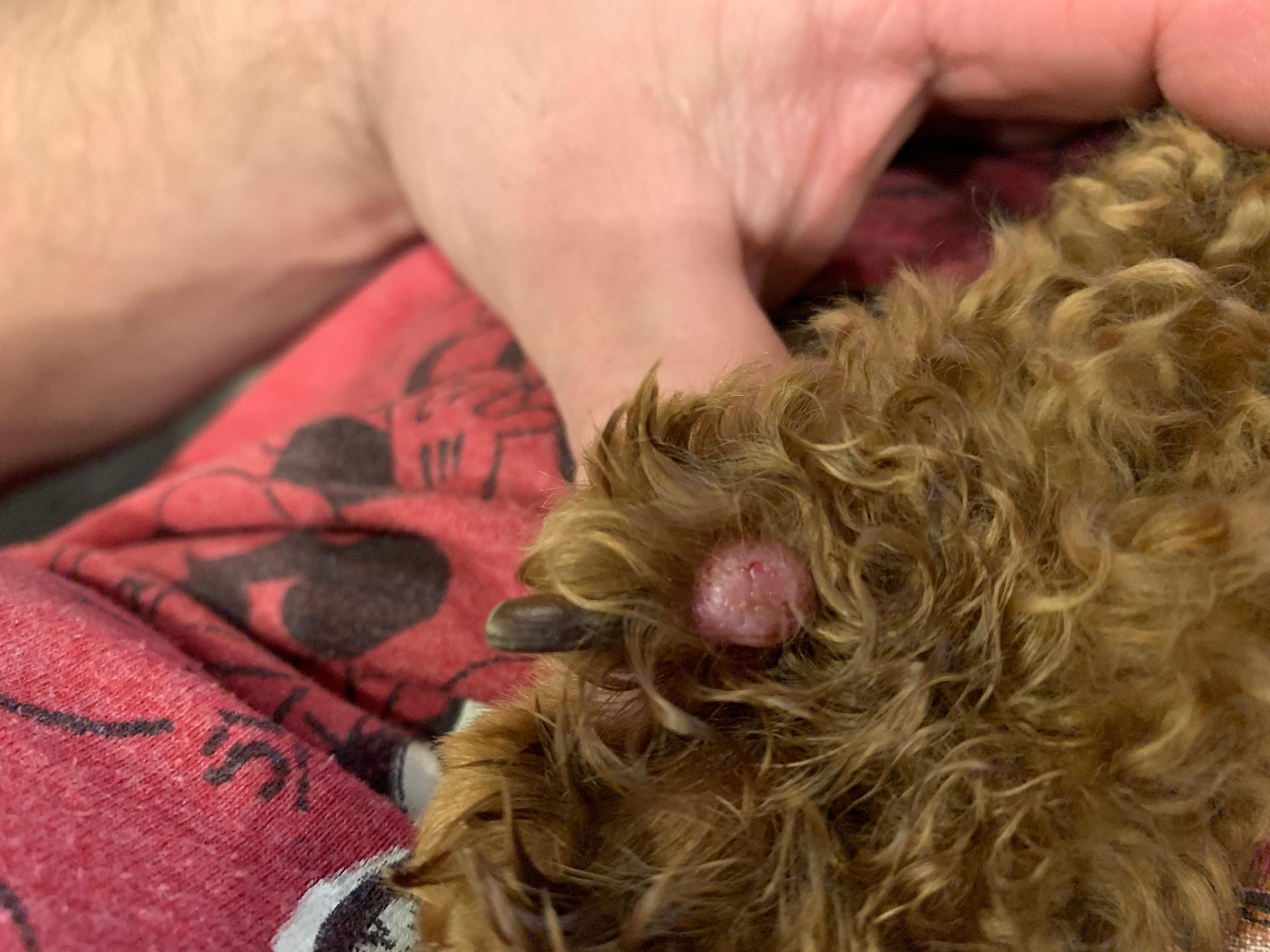 Question details sensitive content