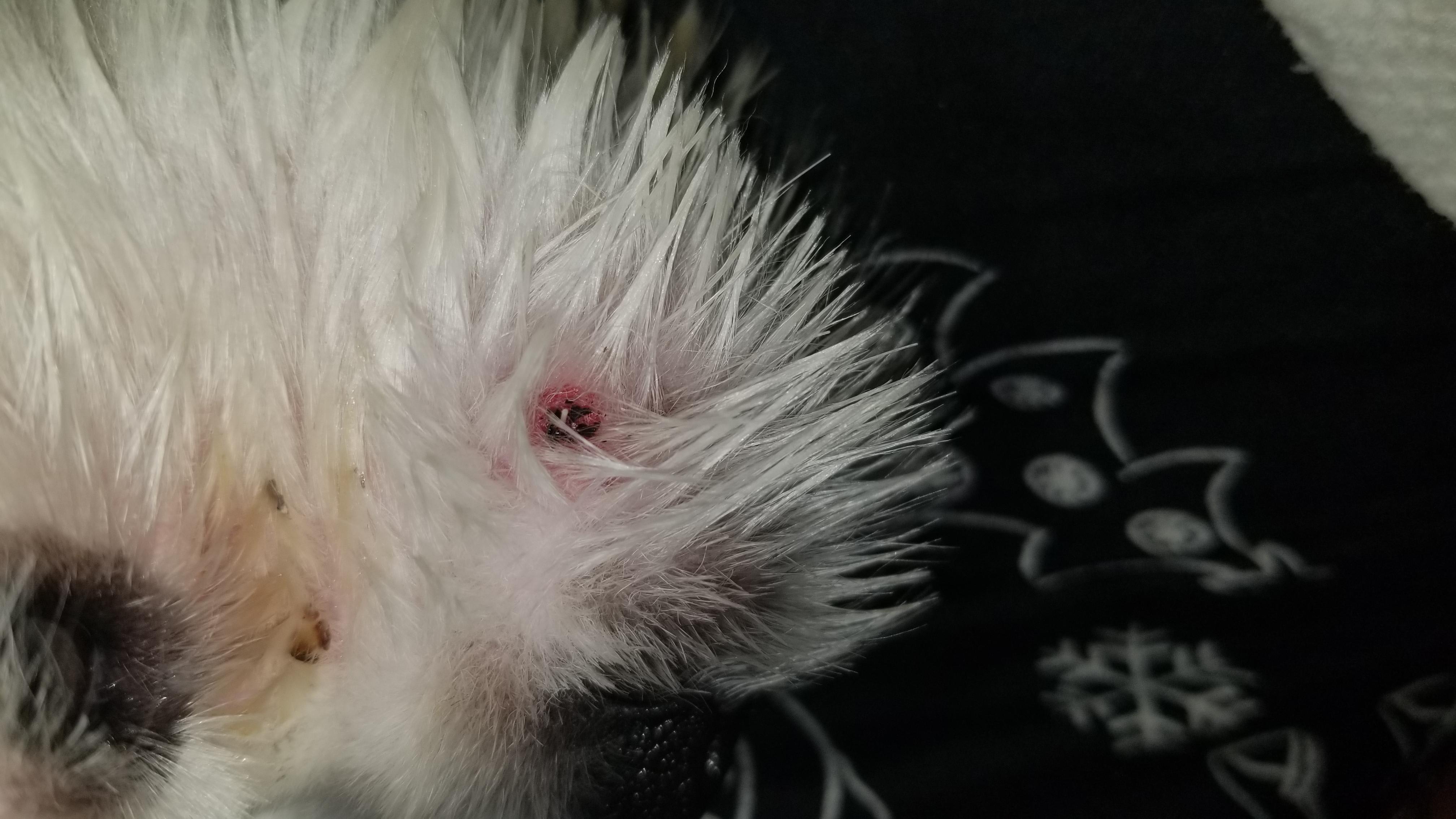 Question details sensitive content