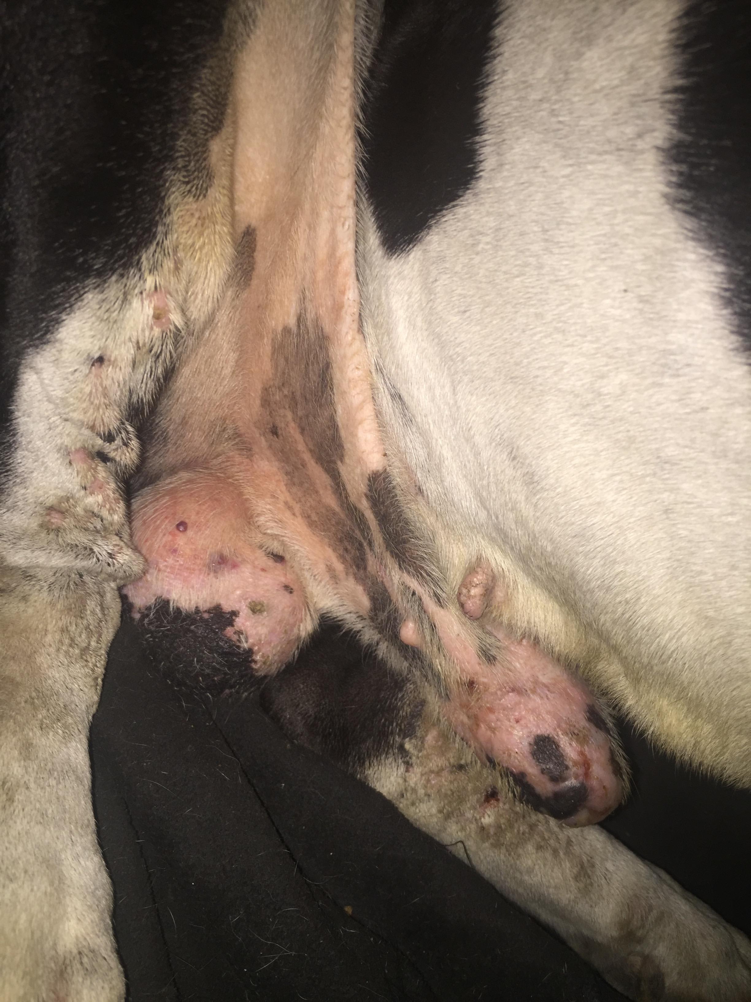 Question details sensitive content