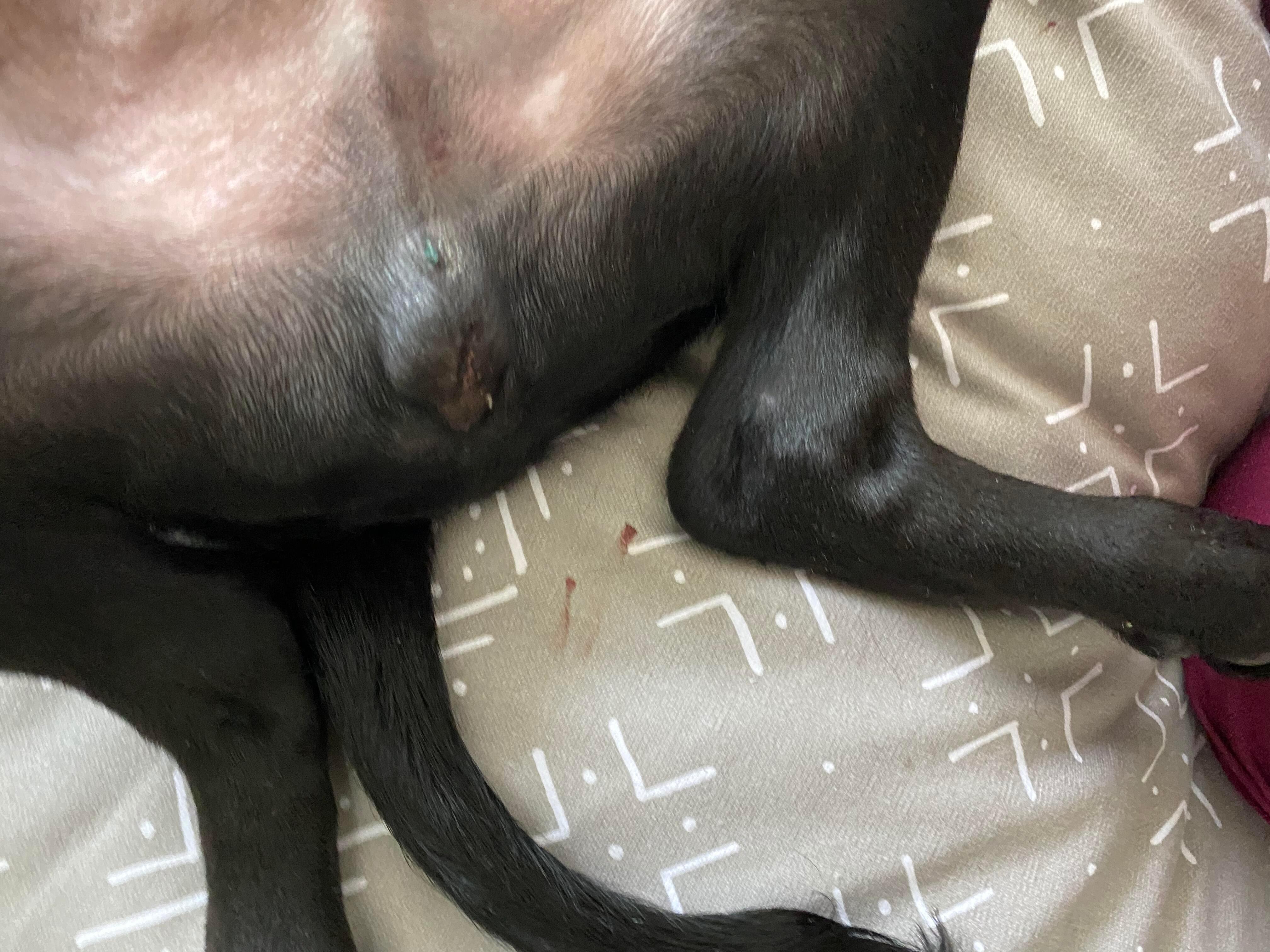 Question details sensitive content