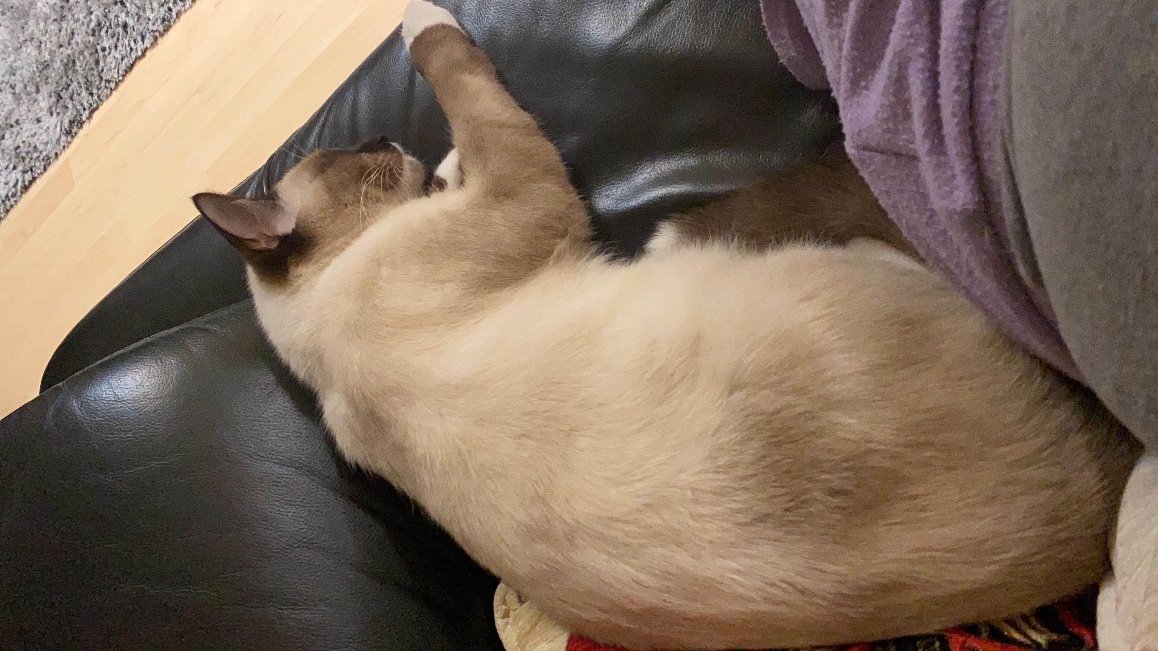 Question details sensitive content