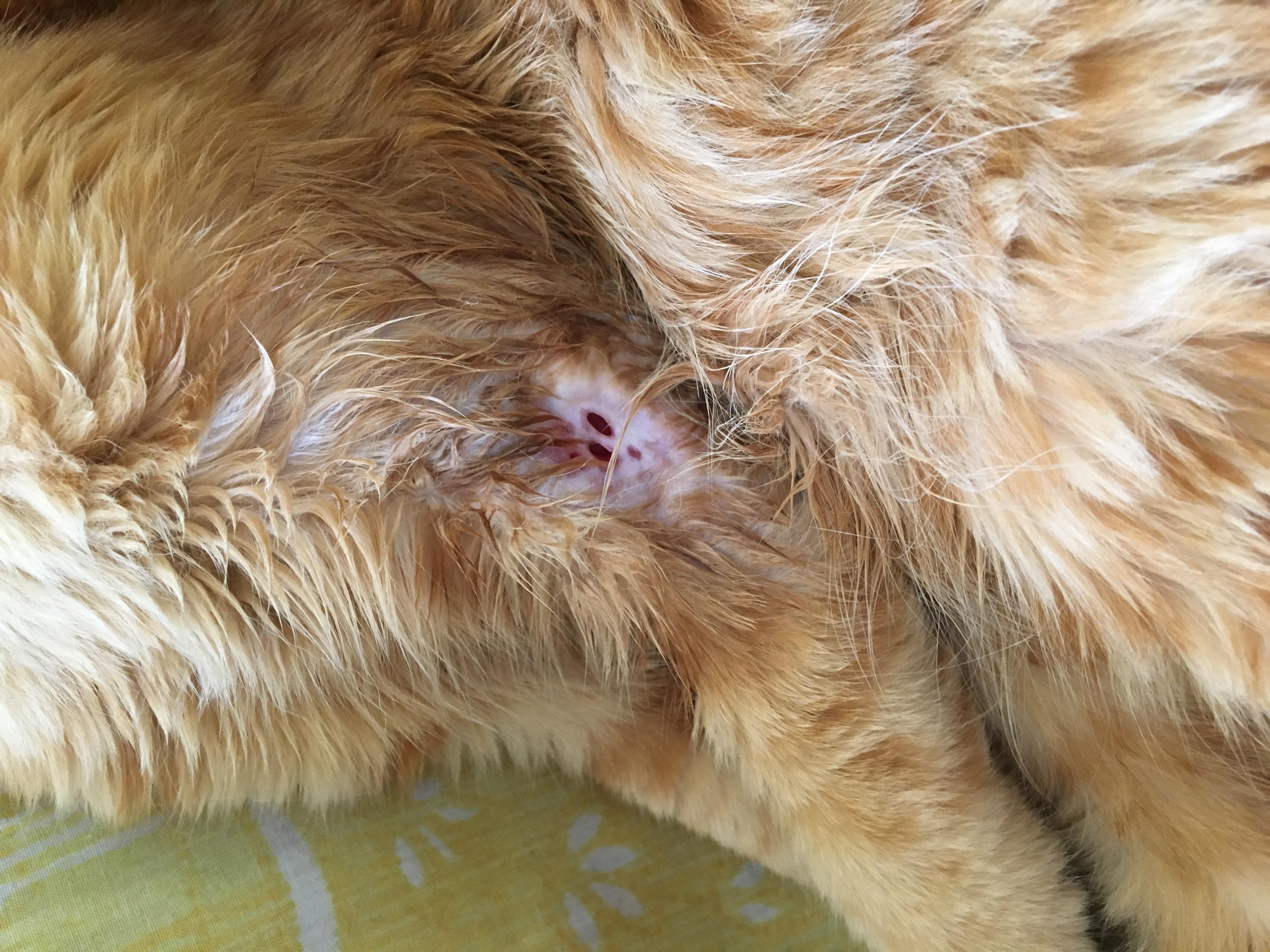 Question details sensitive content