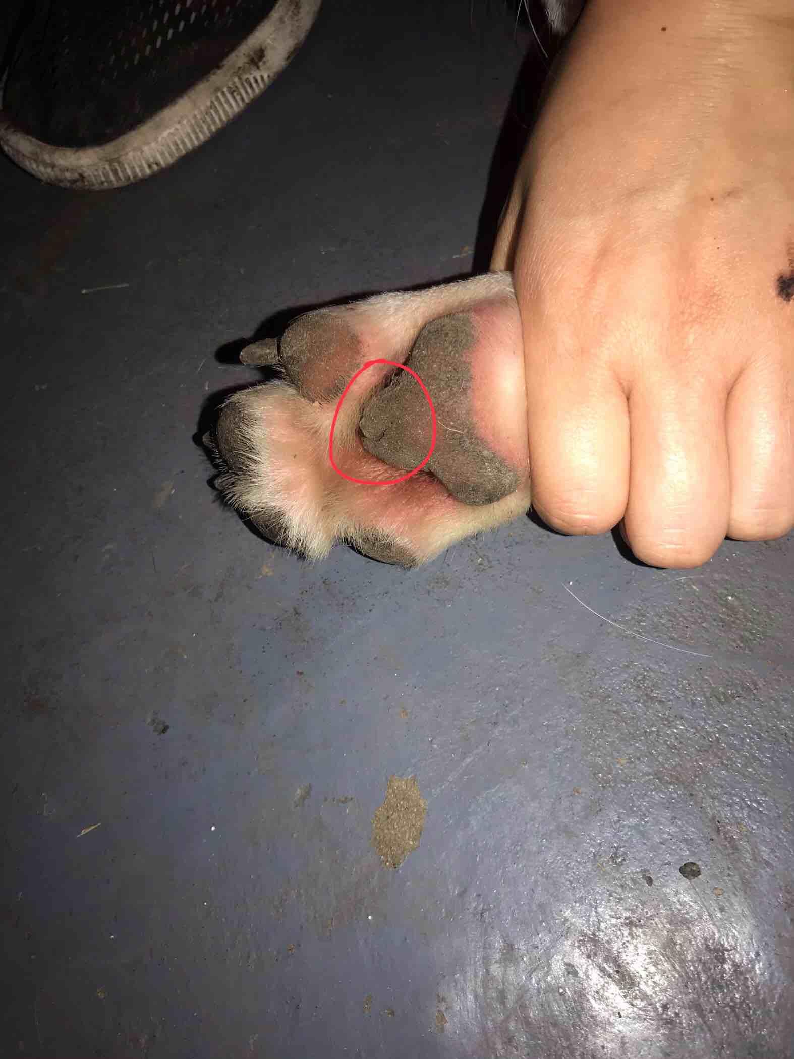 Question details sensitive content