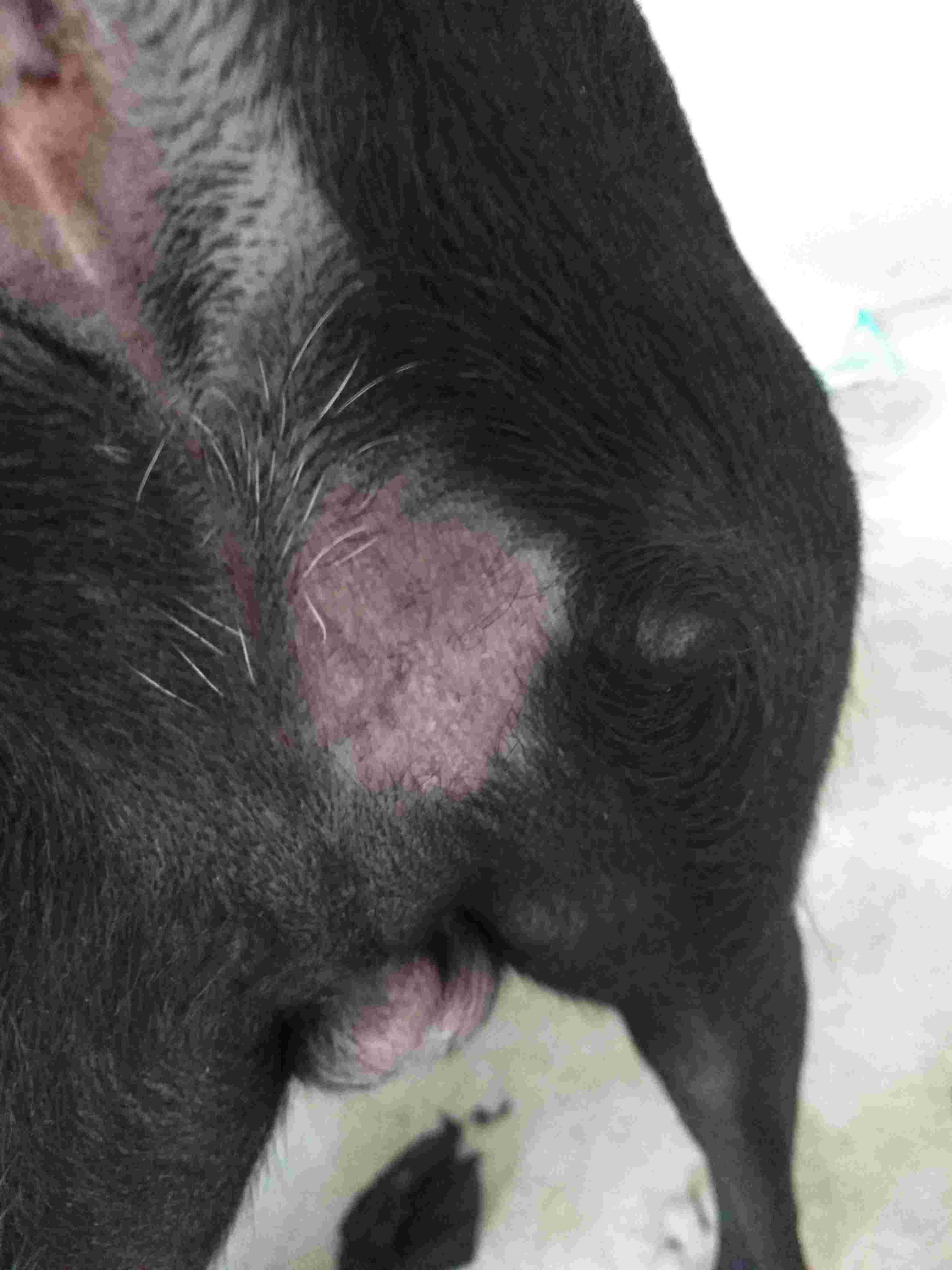 Question details sensitive content