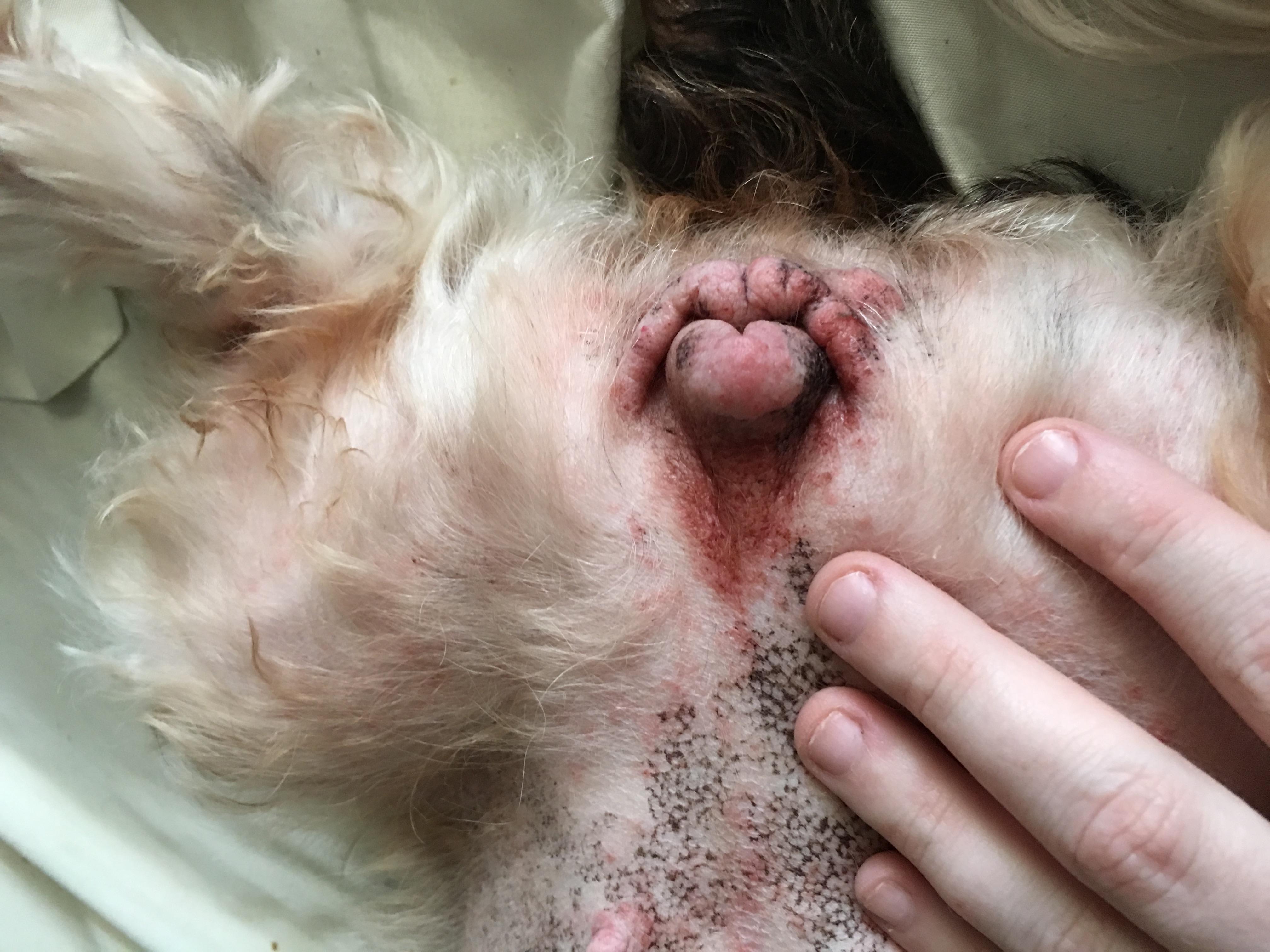 Question details sensitive content