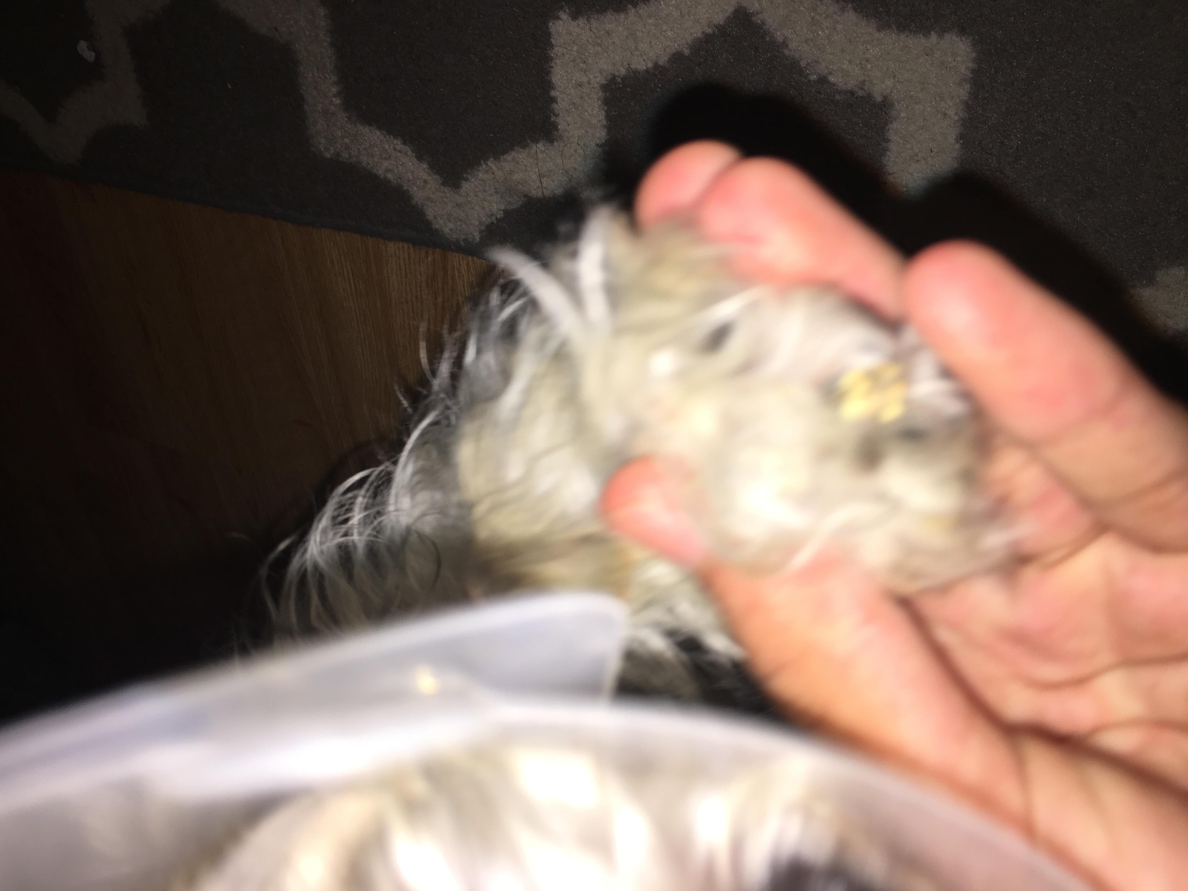 Question details sensitive content