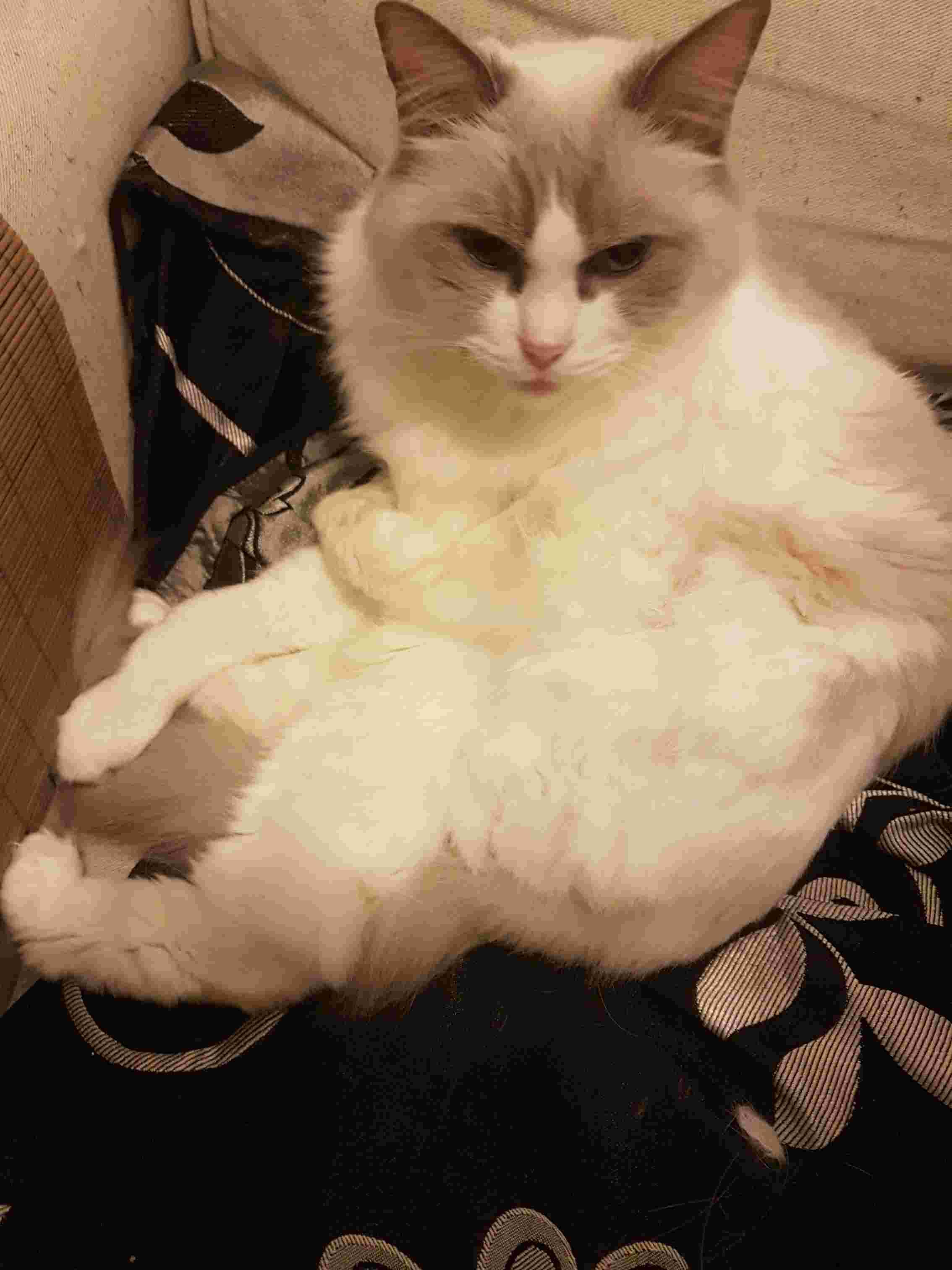 Question details sensitive content