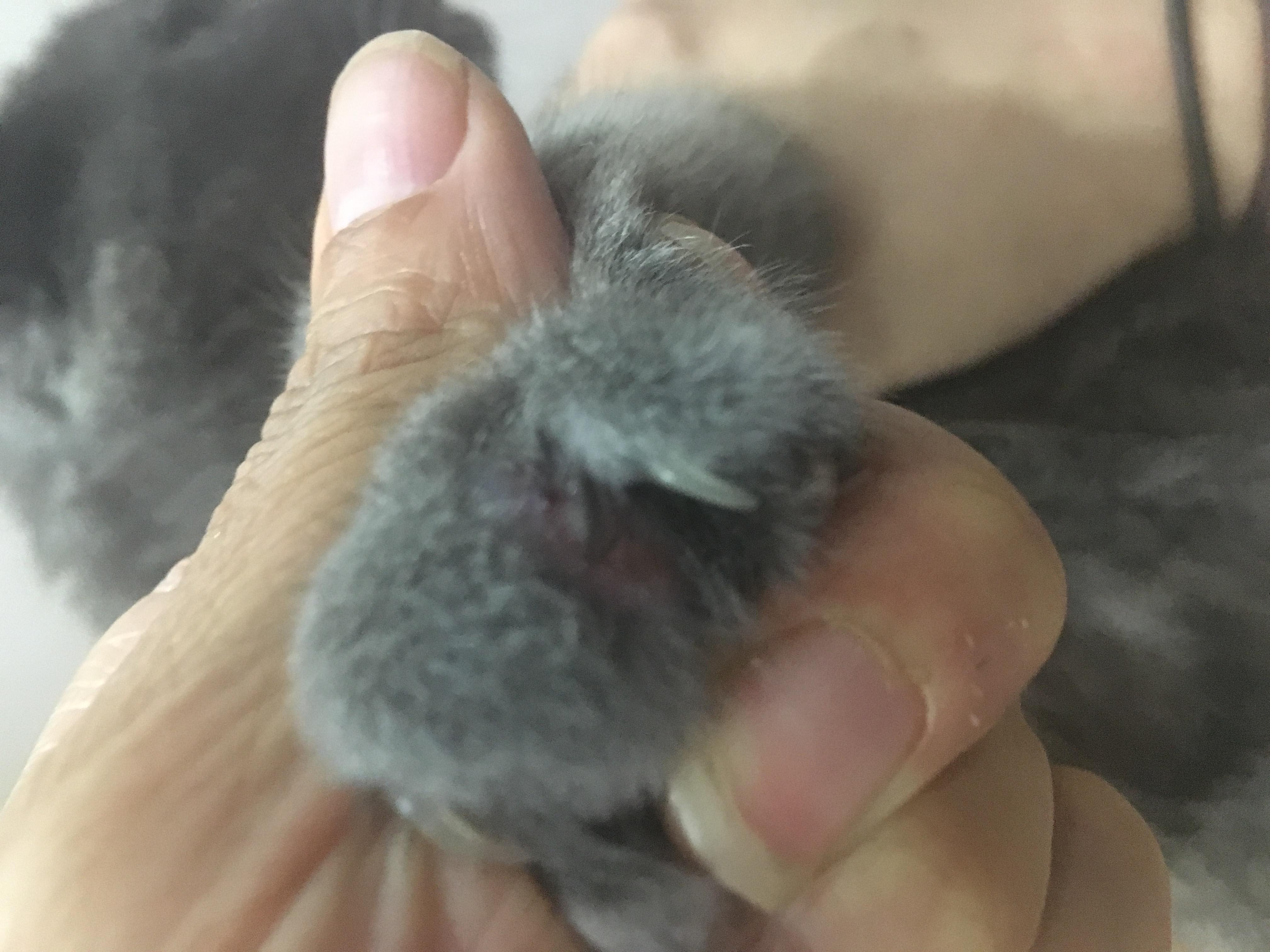 Question details sensitive content