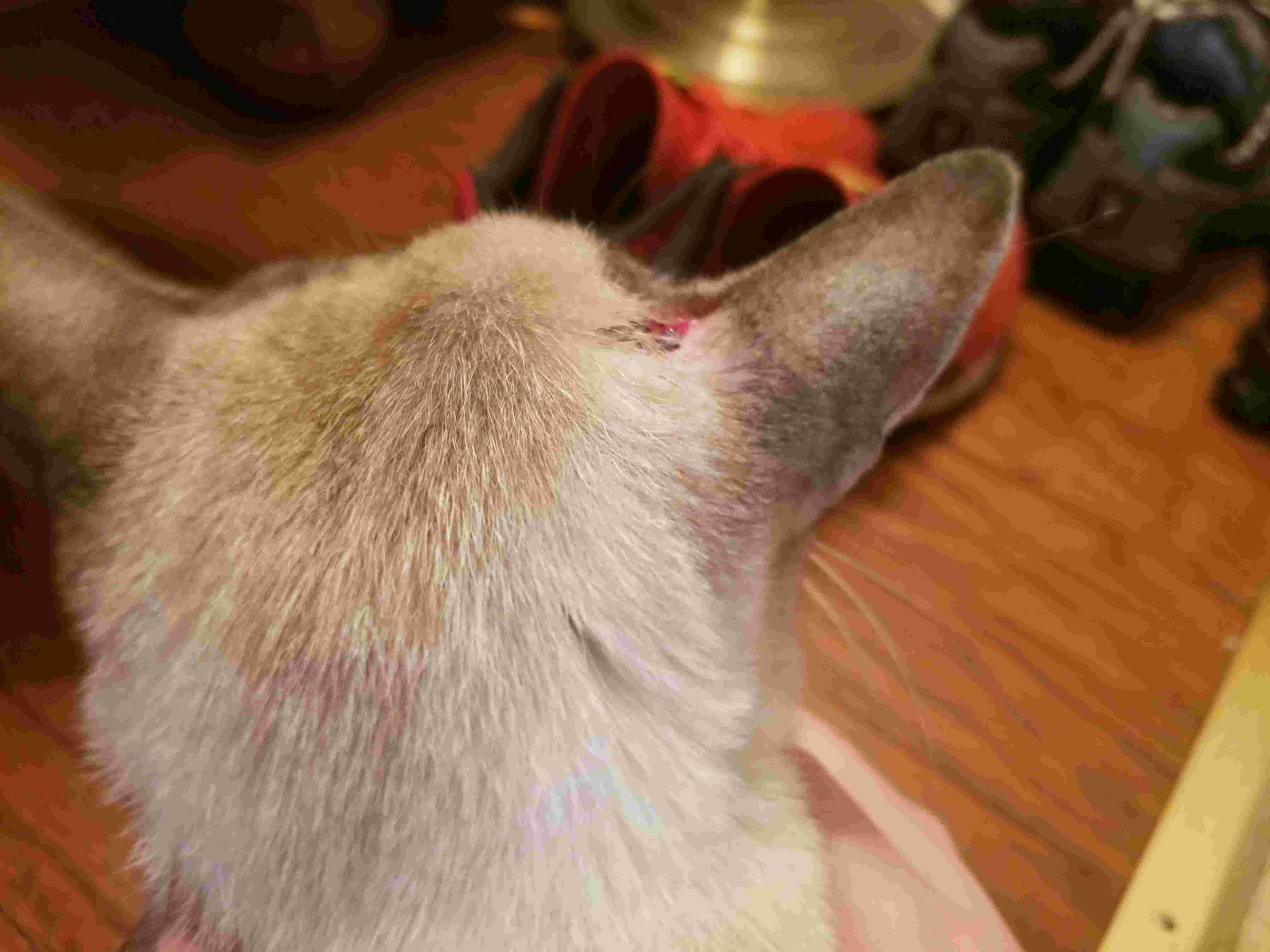 Question details sensitive content