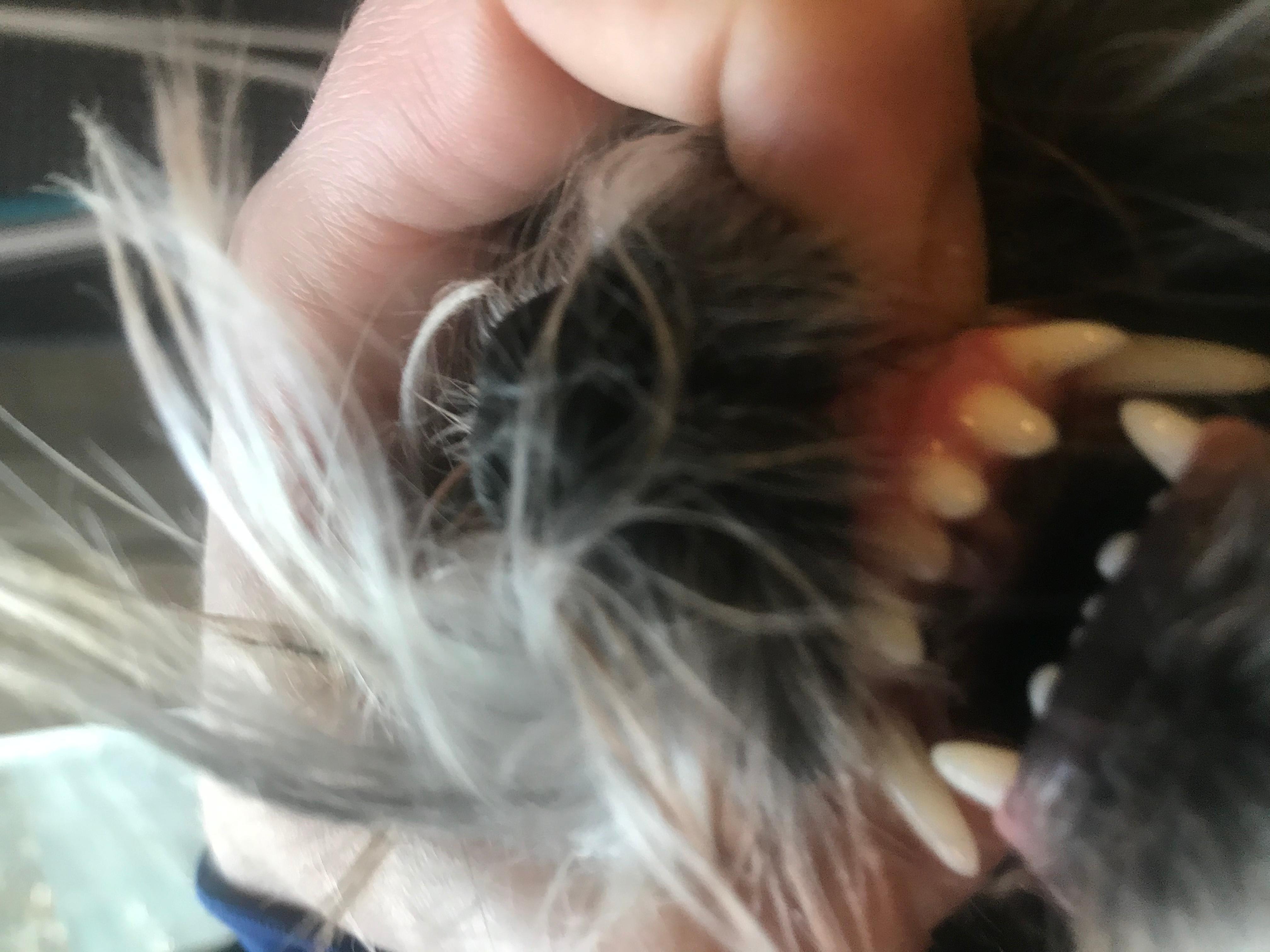 Question details sensitive content