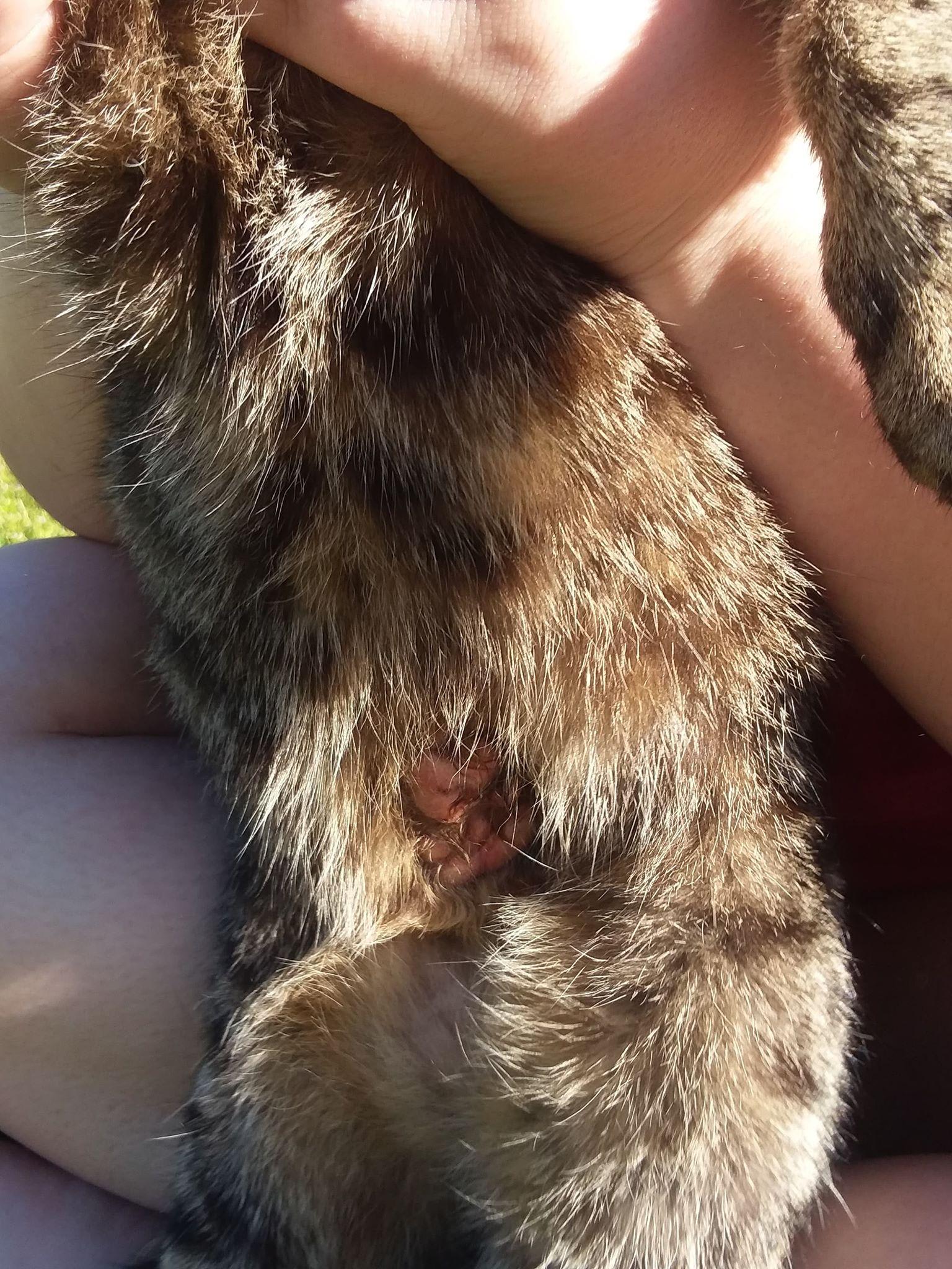 Question details sensitive content